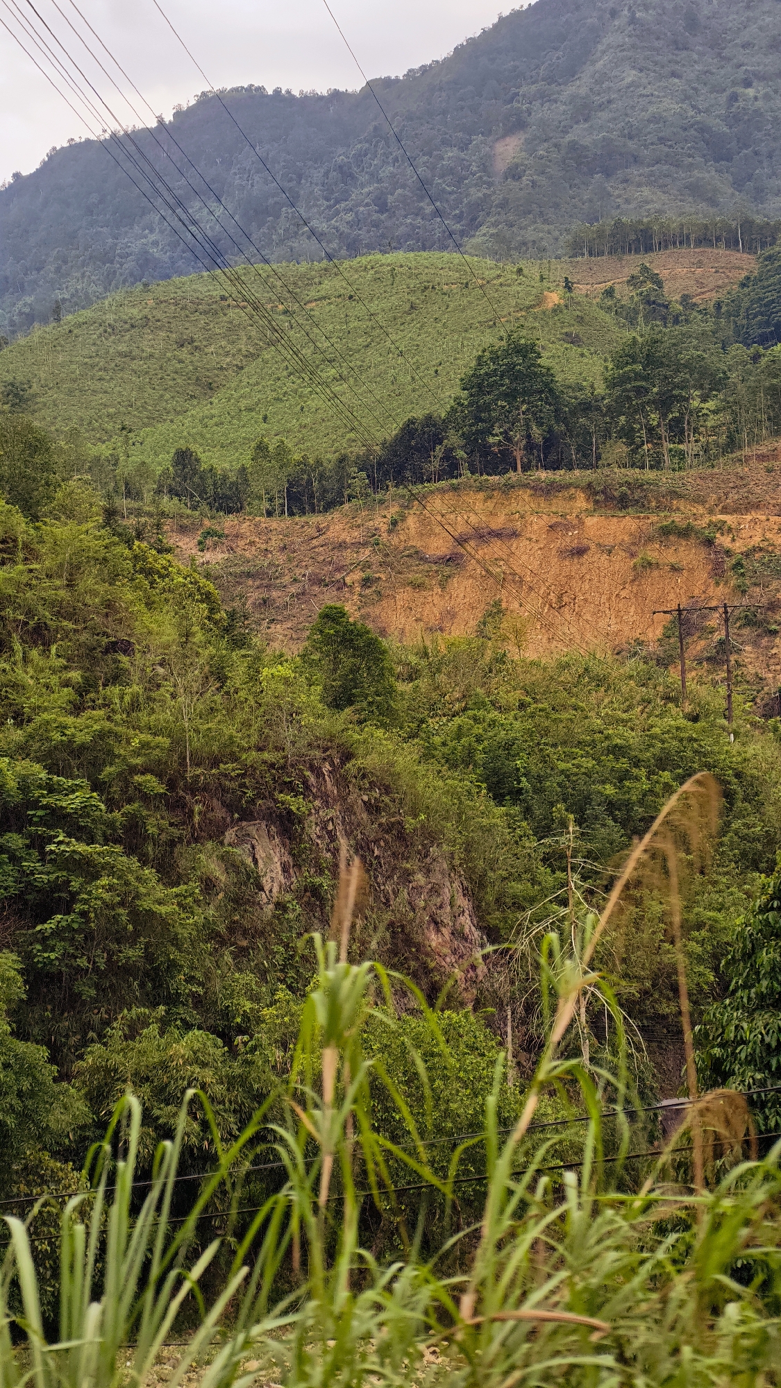 The image depicts a landscape in Minh Tân Commune, Vietnam, characterized by a hillside with varying vegetation levels. In the foreground, tall grasses obscure a portion of the view. A rocky outcrop and dense green foliage are visible mid-ground. The upper portion of the hillside shows areas of both dense green cover and exposed soil. Overhead power lines intersect the scene. In the background, a taller mountain is visible. The sky appears overcast.