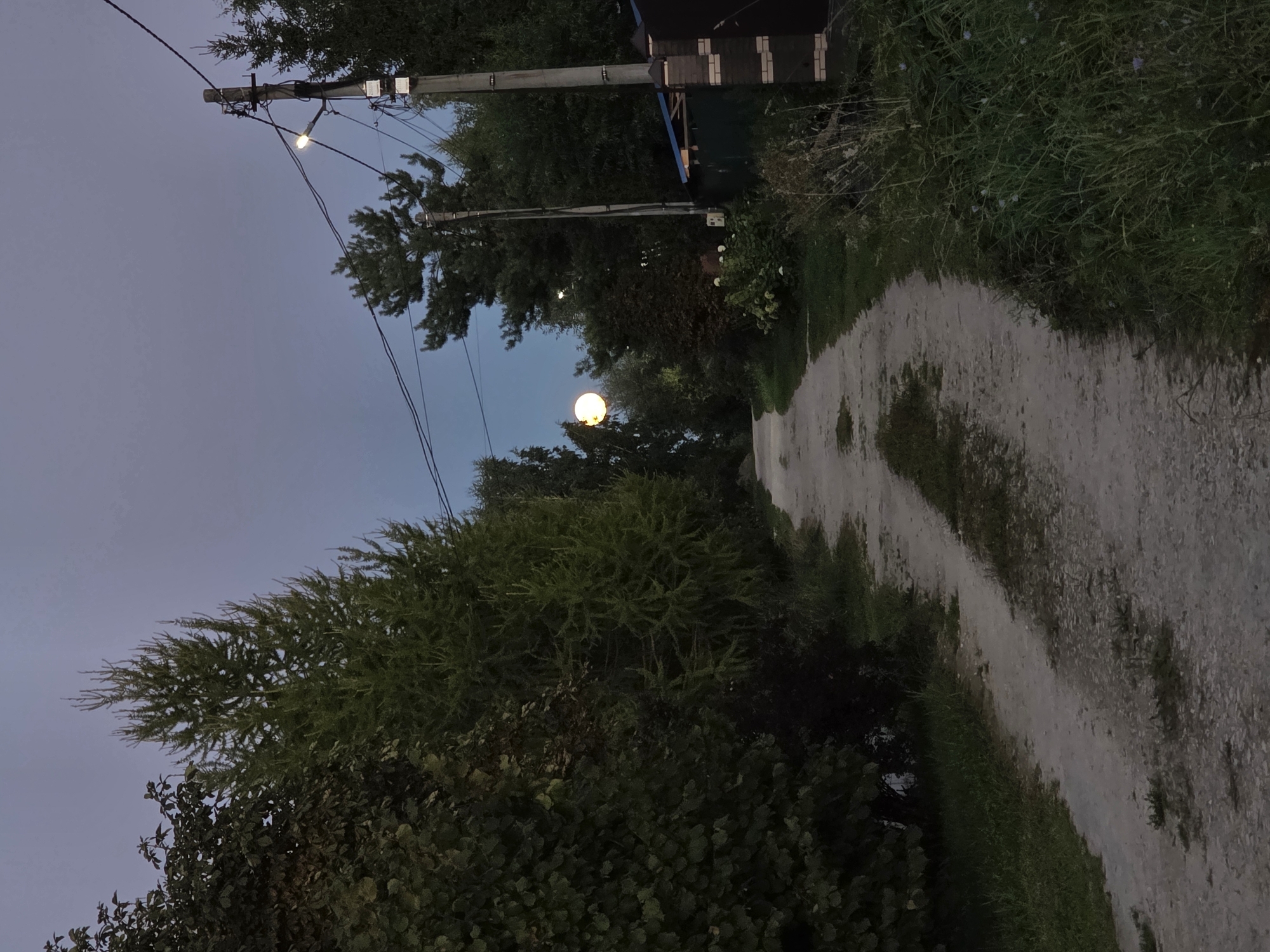 The image depicts a dirt road winding through a rural or suburban area at dusk or early night. A bright, full moon is visible in the pale blue sky, casting a soft glow. Tall trees line both sides of the road, with dense foliage on the left and sparser pine trees on the right. A utility pole with wires and a single streetlamp is prominent on the right side of the road. A fence and part of a building are also visible on the right. The overall atmosphere is serene and somewhat mysterious due to the low light conditions and the presence of the moon. The scene is consistent with a rural road in a place like Речицы, Russia, given the natural vegetation and infrastructure. There are no people or animals in the frame.