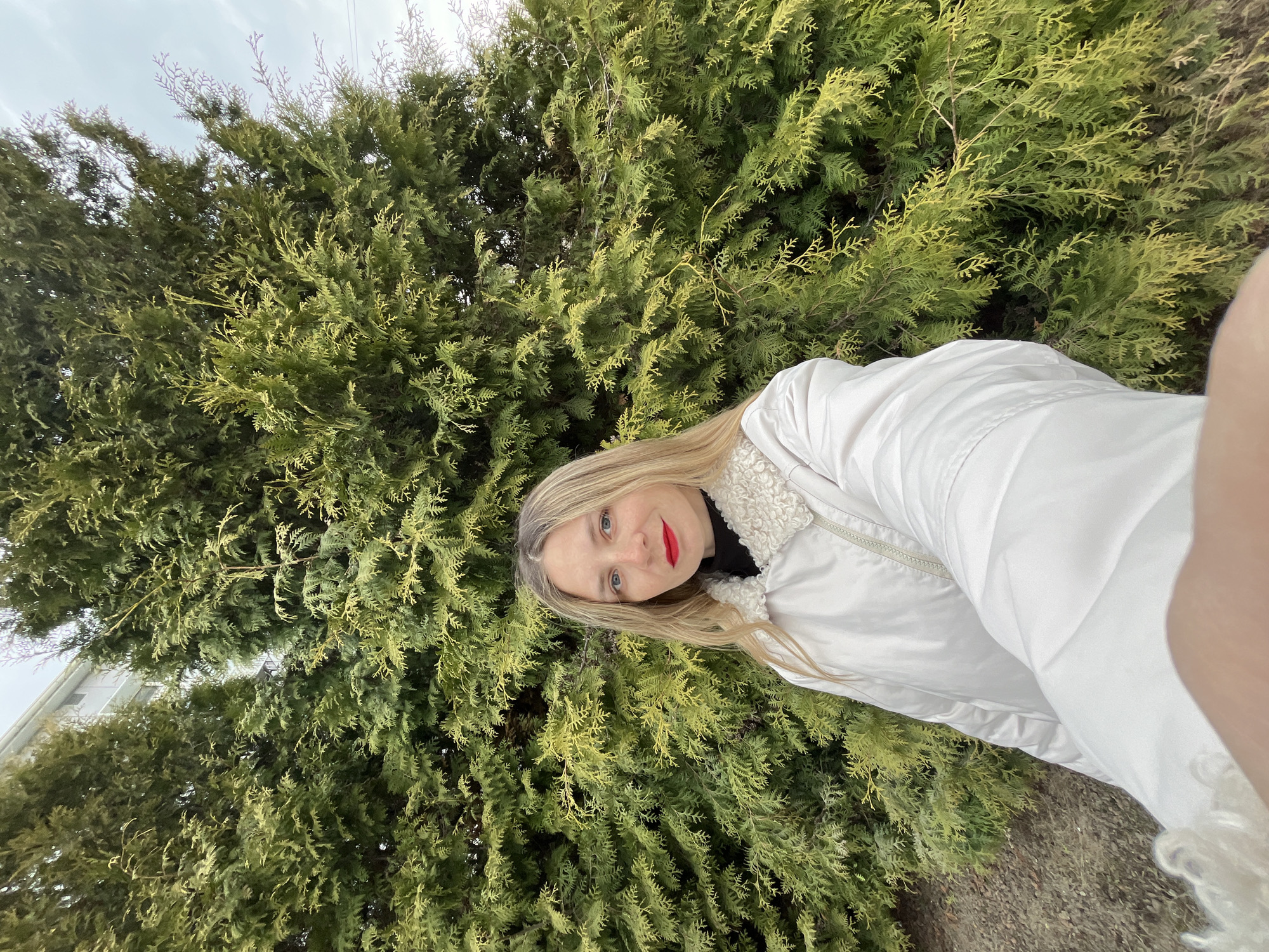 A woman is posing for a selfie in front of a large coniferous tree. She is wearing a white jacket and has blonde hair and red lipstick. The tree appears to be a Thuja species, dense with textured green foliage. The location is outdoors, possibly a park or garden in Chaikovsky, Russia. In the top right corner of the frame, some other building elements are visible.