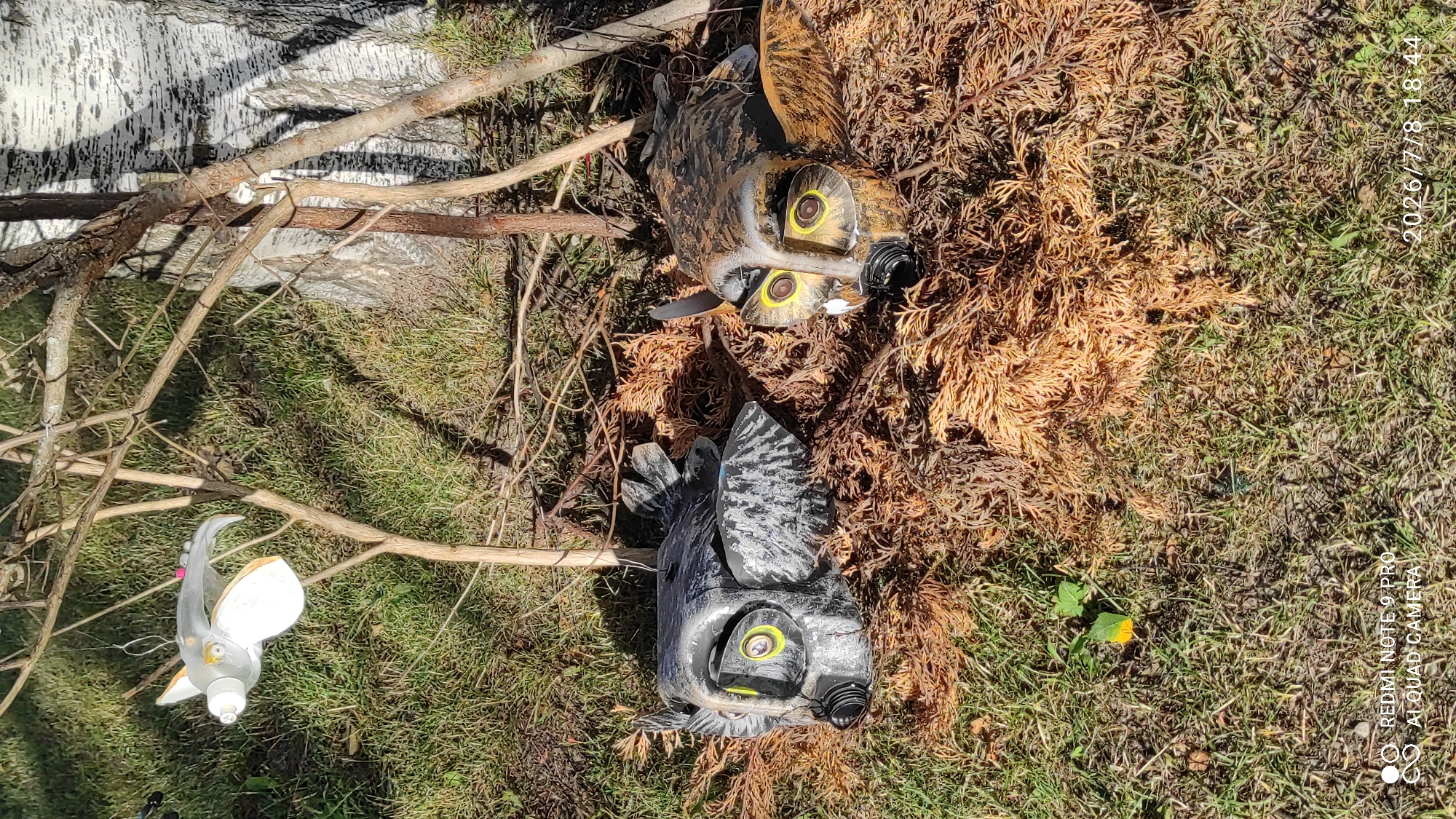 Two artificial owl decoys lie on the ground, one on the left and one on the right. The owl on the left is primarily grey with black markings and yellow eyes. The owl on the right is brown with yellow eyes. Both owls have a black circular opening on their beaks. The owls are situated amidst dried brown foliage and green grass. In the upper left quadrant of the image, a white bird-shaped object made from a plastic bottle is suspended from a branch by a wire. Several thin branches extend across the frame. A section of a tree trunk with white bark and dark markings is visible on the right side of the image. The ground appears to be outdoors, possibly in a park or garden setting. There are no people visible in the image. The lighting suggests it is daytime.