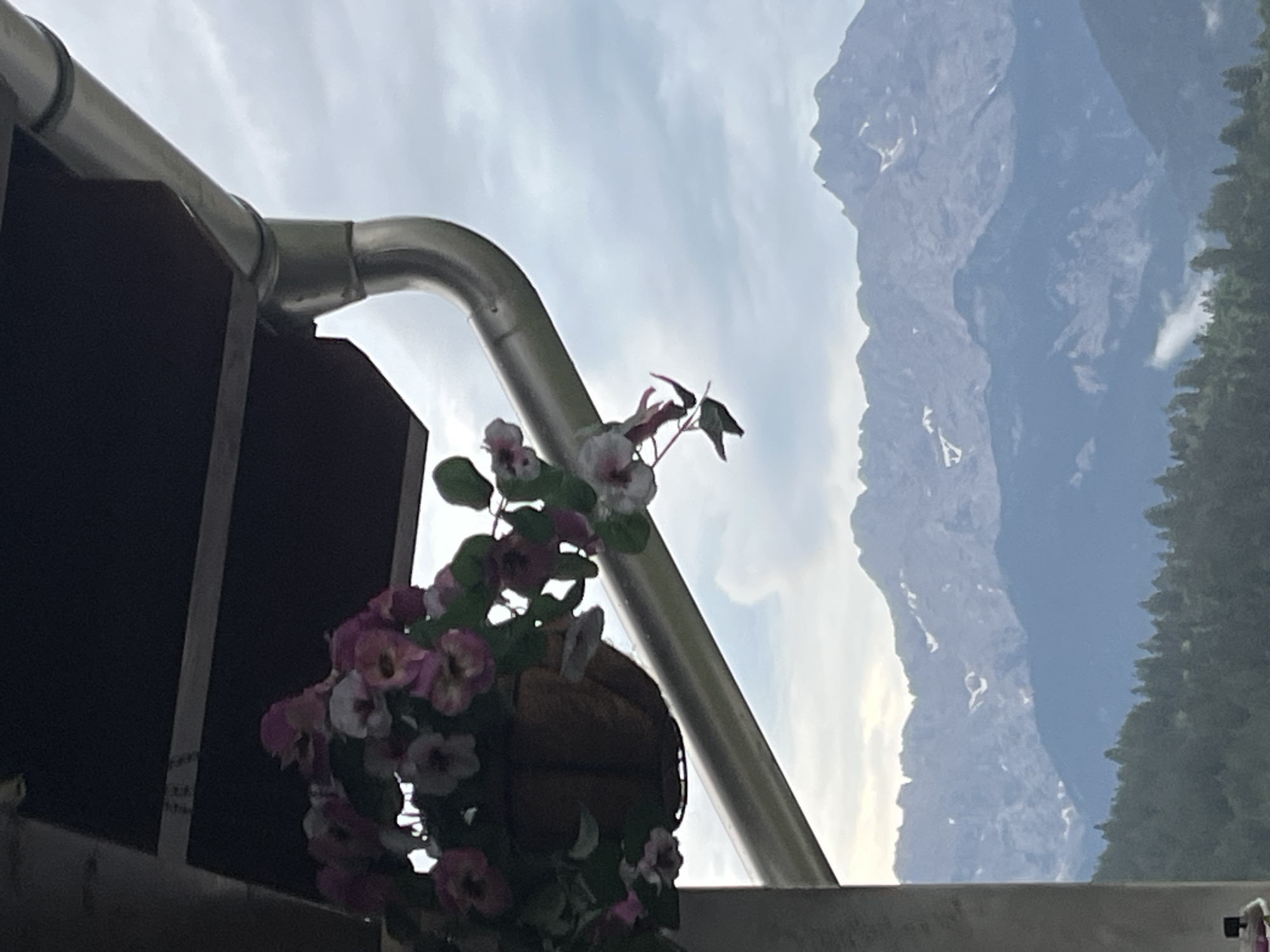 The image captures a close-up view of a hanging basket of pink and white impatiens flowers, set against a backdrop of the Zugspitze mountain range, likely taken from a balcony or elevated viewpoint in Garmisch-Partenkirchen, Germany. A silver gutter system runs diagonally across the frame, originating from a dark overhang. The flowers, in various stages of bloom, are a mix of vibrant pink and soft white petals with green leaves. The distant mountains are shrouded in atmospheric haze, with some snow visible on their peaks, indicative of a cooler climate or higher altitude. Below the mountains, a dense forest of green trees stretches across the landscape. The sky is overcast with soft grey clouds.