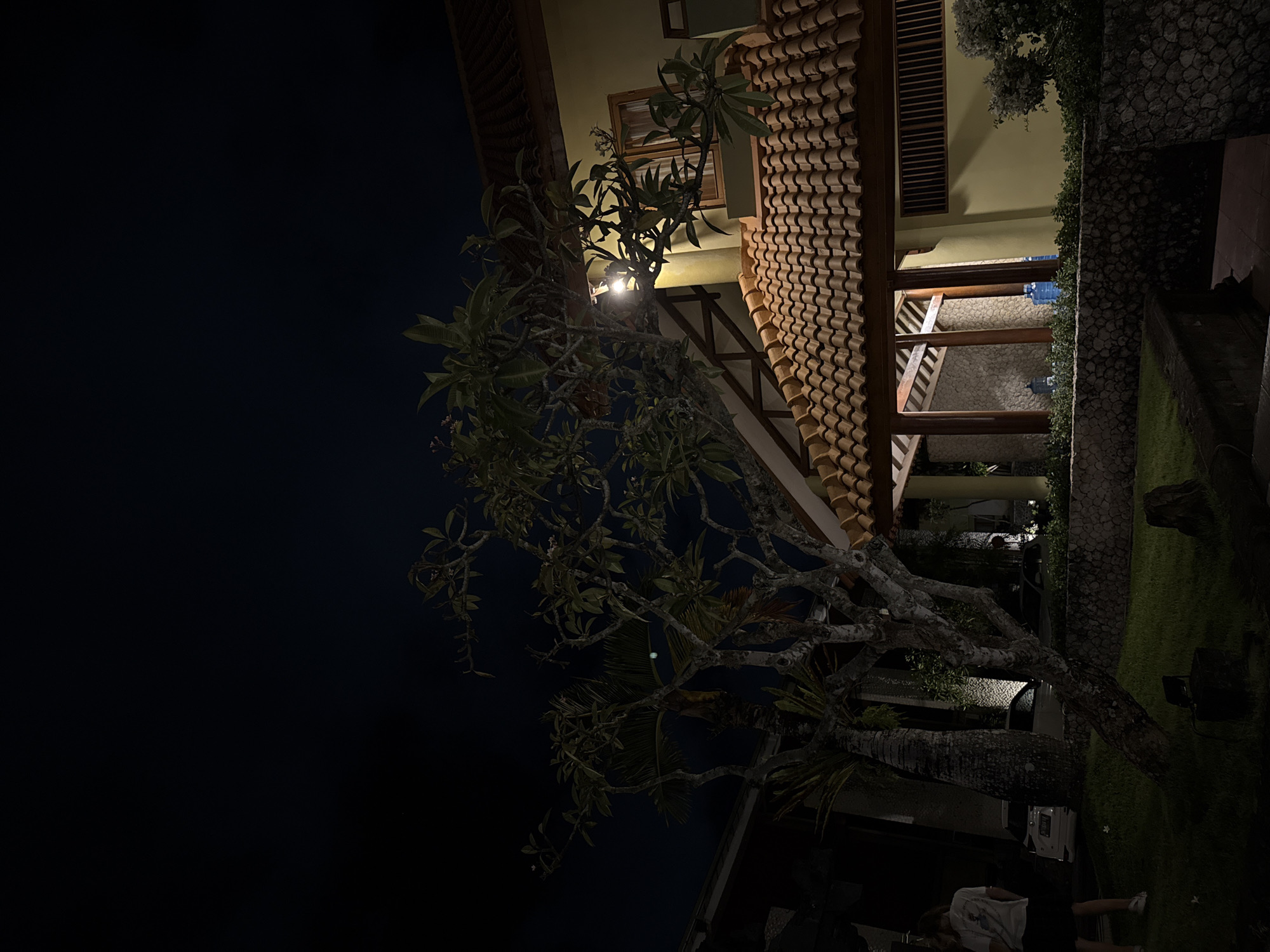 The image, rotated 90 degrees clockwise, captures a tranquil nighttime scene of a building and its surrounding garden, likely in Kuta Selatan, Indonesia. In the foreground, a large, multi-branched tree, possibly a Frangipani, dominates the left side, its dark leaves silhouetted against the night sky and partially illuminated by artificial light.
The prominent subject is a multi-story building featuring a distinctive terracotta-tiled roof with a scalloped pattern. Its walls are a light yellow, and several wooden architectural elements, including beams and a window frame, are visible. A bright light source, likely a lantern or spotlight, is positioned among the tree branches, casting a warm glow on the foliage and the building.
Below the building, a well-maintained garden area is visible with neatly trimmed green grass and stone retaining walls. Another tree, resembling a palm, stands further back. In the lower right corner (when the image is viewed upright), two individuals are partially seen, one wearing a light-colored top and shorts/skirt, suggesting they are casually standing or walking in the garden. A white vehicle, possibly a car or van, is dimly visible behind the main tree. The sky is dark, indicating a clear night. The overall atmosphere is peaceful and serene, characteristic of a resort or guesthouse setting in a tropical region. No visible text is present in the image.