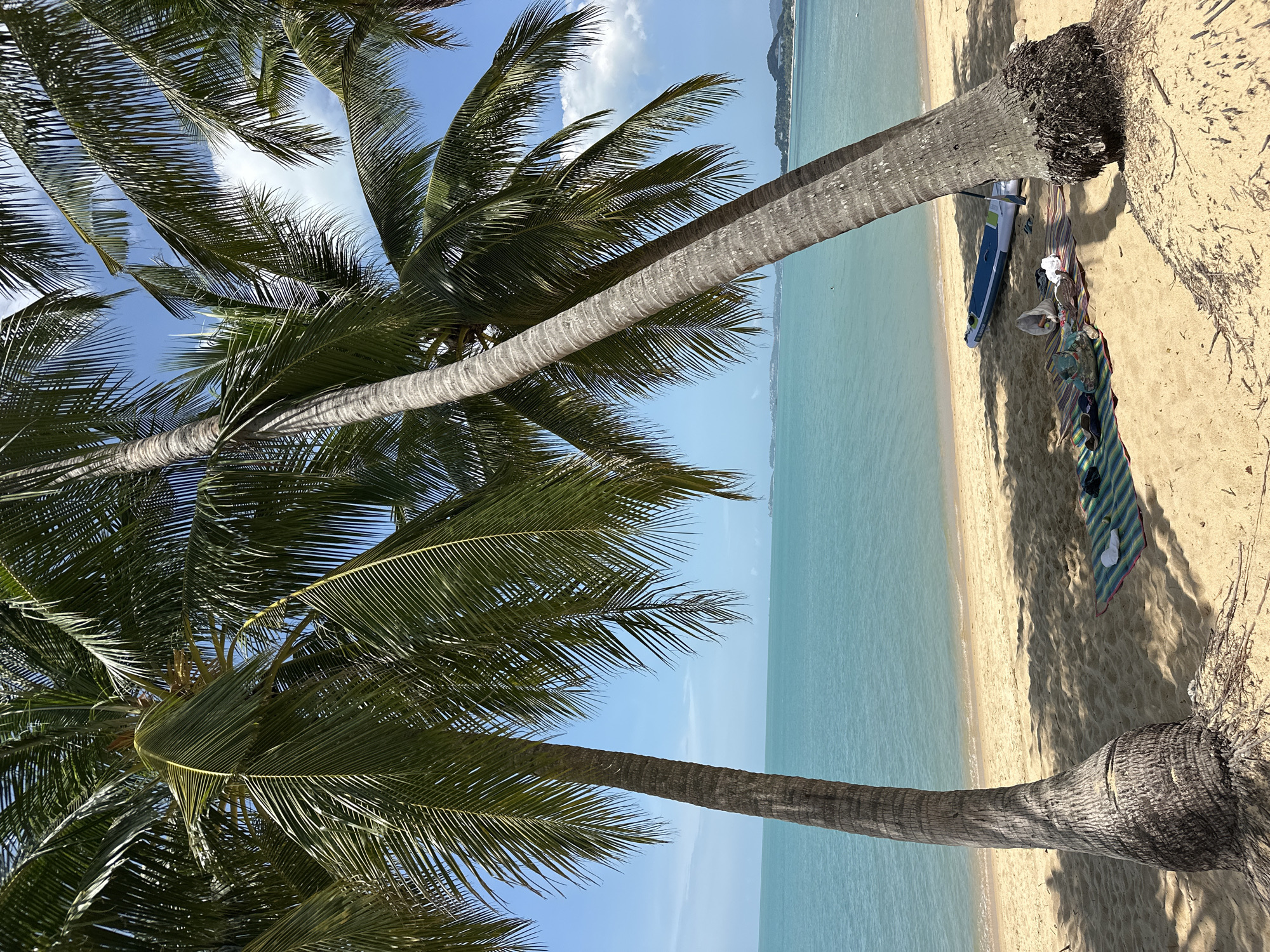 The image depicts a sunny beach scene in Ko Samui District, Thailand. Two large coconut palm trees lean over a sandy beach, casting shadows on the sand. In the foreground, a striped picnic mat is laid out with several items on it, including a bag, a towel, and what appear to be flip-flops. Further back, a blue and white paddleboard with a paddle rests on the sand, partially in the shade of the palm trees. The turquoise ocean stretches out to the horizon, meeting a clear blue sky with a few scattered white clouds. The shoreline is calm, with small waves gently lapping the sand. In the distance, the coastline is visible, with some greenery and structures. The overall impression is one of a peaceful, tropical paradise.