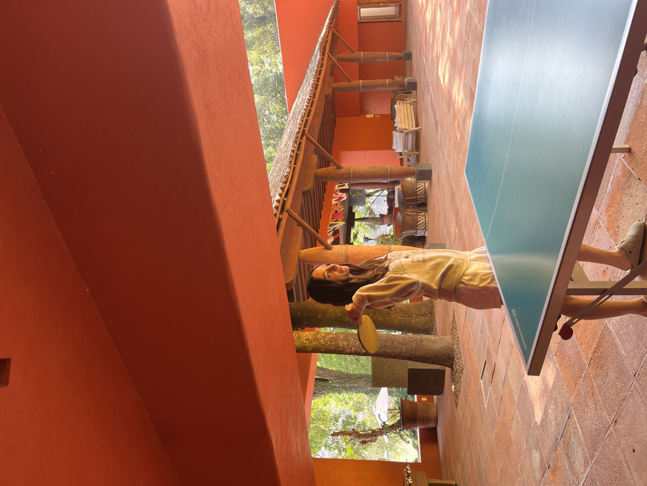 In El Cerrillo, Mexico, a woman stands on a reddish-brown tiled patio under a reddish-orange ceiling structure, positioned to the left of a blue-green ping-pong table. She wears a light-colored long-sleeved top, shorts, and slip-on shoes, holding a yellow ping-pong paddle with her right hand in an elevated position, looking towards the upper right. Her dark hair falls over her shoulders. The patio features a partially visible foosball table to the far left and is bordered by large tree trunks and lush green foliage. To the right, a separate outdoor structure with a thatched roof supported by wooden columns contains multiple seating areas, including woven and upholstered furniture, and is decorated with a string of small, colorful flags. The building's exterior walls are painted a uniform reddish-orange. Natural light illuminates the entire scene.