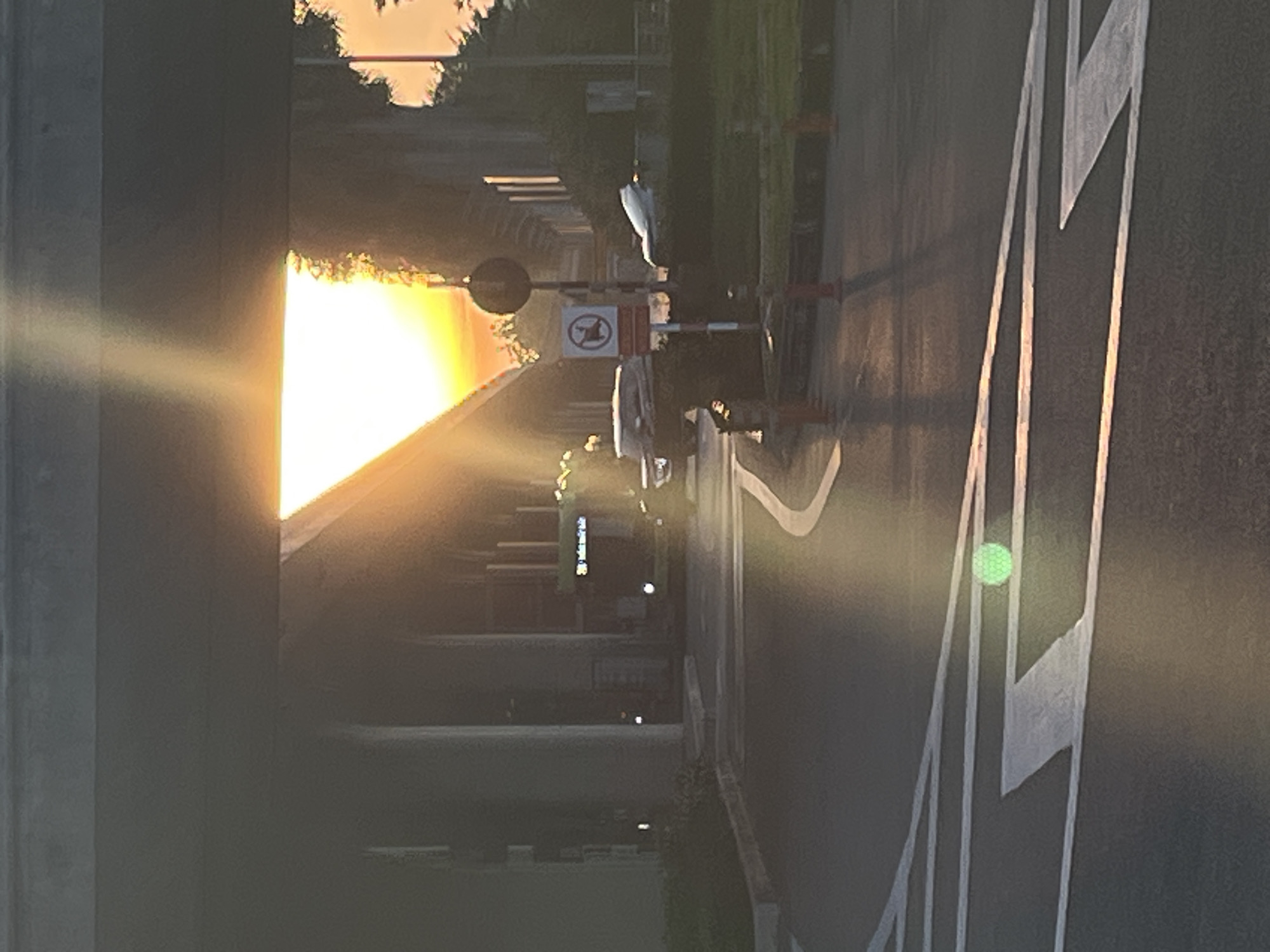 This image depicts an outdoor roadway scene at either sunrise or sunset, characterized by intense low-angle orange-yellow light radiating from the horizon. The light source is positioned between two elevated concrete structures, creating significant lens flare visible as a bright glow and a distinct green circular artifact on the road surface.
The scene is situated on an asphalt road with white painted markings, including an arrow and solid lines, in the foreground and midground. On the left, a large elevated grey concrete structure with multiple vertical pillars extends into the background. Another similar elevated structure is visible on the right, also supported by pillars.
On the right side of the road, a vertical pole supports two circular signs. The upper sign is entirely dark. The lower sign is a regulatory sign with a red circular border, a white background, a black silhouette of an animal (likely a dog or cat), and a red diagonal line indicating "no animals allowed." Further to the right, three orange traffic cones are placed on the roadside.
Vehicles are present in the midground: a dark-colored SUV is partially visible on the left side of the road, behind the "no animals allowed" sign. A lighter-colored vehicle, possibly white, is partially obscured by foliage further down the road on the right. In the deep background, under the elevated structure on the left, a dark green vehicle, consistent with a bus, is faintly discernible.
Green foliage and bushes line the sides of the roadway. No individuals are visible in the image. The location of this scene is Thuận An, Vietnam.