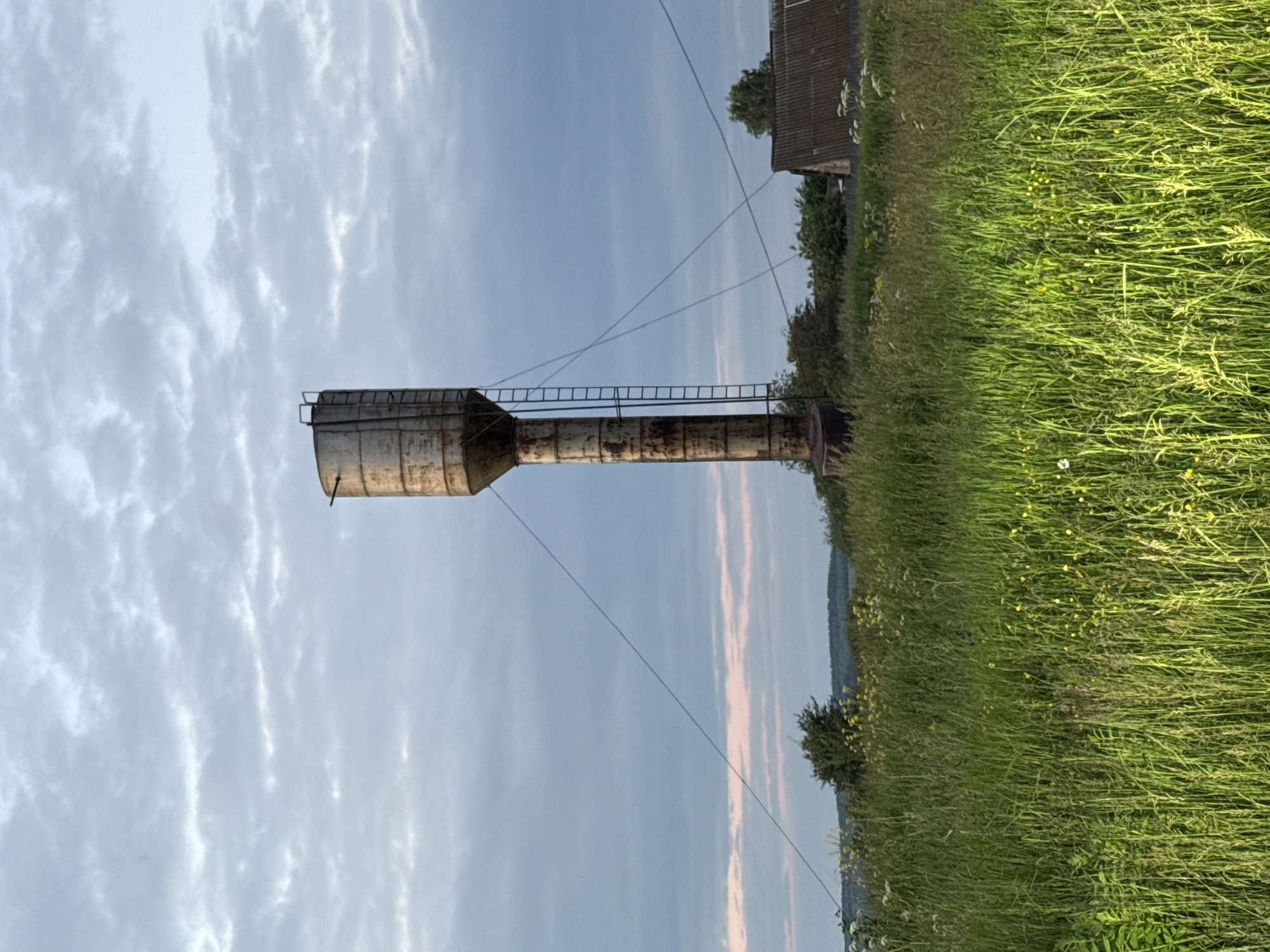 The image depicts a rural scene in the vicinity of Кукуи, Russia, under a cloudy sky. A tall, rusted water tower stands prominently in the center of the frame, supported by guy wires that extend outwards. A ladder is attached to the side of the tower, leading to its top. The tower is situated in a field of tall, green grass dotted with small yellow and white wildflowers. In the background, there are trees and a dilapidated building with a corrugated roof. The overall atmosphere is one of rustic, slightly neglected agricultural landscape.