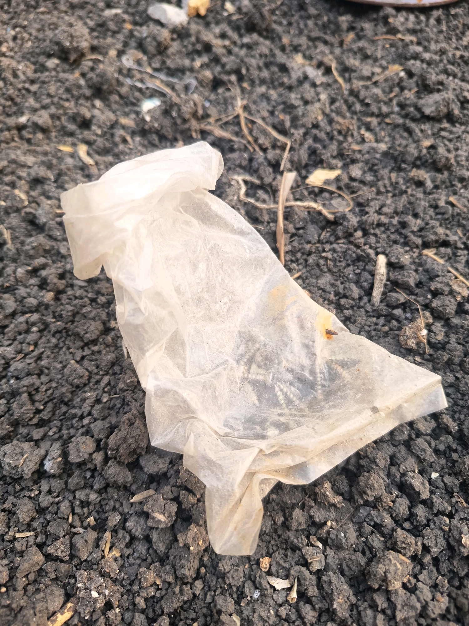 A close-up, overhead shot shows a crumpled, translucent white plastic bag lying on dark, dry soil mixed with small stones and dried plant debris. The plastic bag is partially opaque and appears wrinkled and soiled. A small, dark object, possibly a piece of debris or an insect, is visible on the right side of the plastic bag. The soil is coarse and uneven, suggesting an outdoor environment. There is no indication of the specific location within Sidorejo, Indonesia.