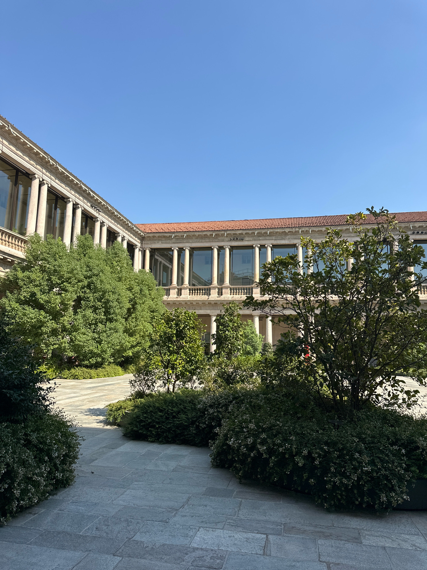 This image depicts the internal courtyard of the Pinacoteca di Brera in Milan, Italy. The courtyard features a two-story building with classical architecture, characterized by a colonnade on both levels. The lower level has large glass windows behind the columns, and the upper level features a similar arrangement with a balustrade. A terracotta-tiled roof crowns the building. The courtyard itself is paved with large, light gray stone tiles, arranged in a grid pattern. Lush greenery, including large trees and manicured shrubs with small white flowers, is strategically placed throughout the courtyard, softening the architectural elements. The sky above is a clear, bright blue, indicating a sunny day. There are no people visible in the scene. The overall impression is one of serene, classical beauty and tranquil outdoor space within an important cultural institution.