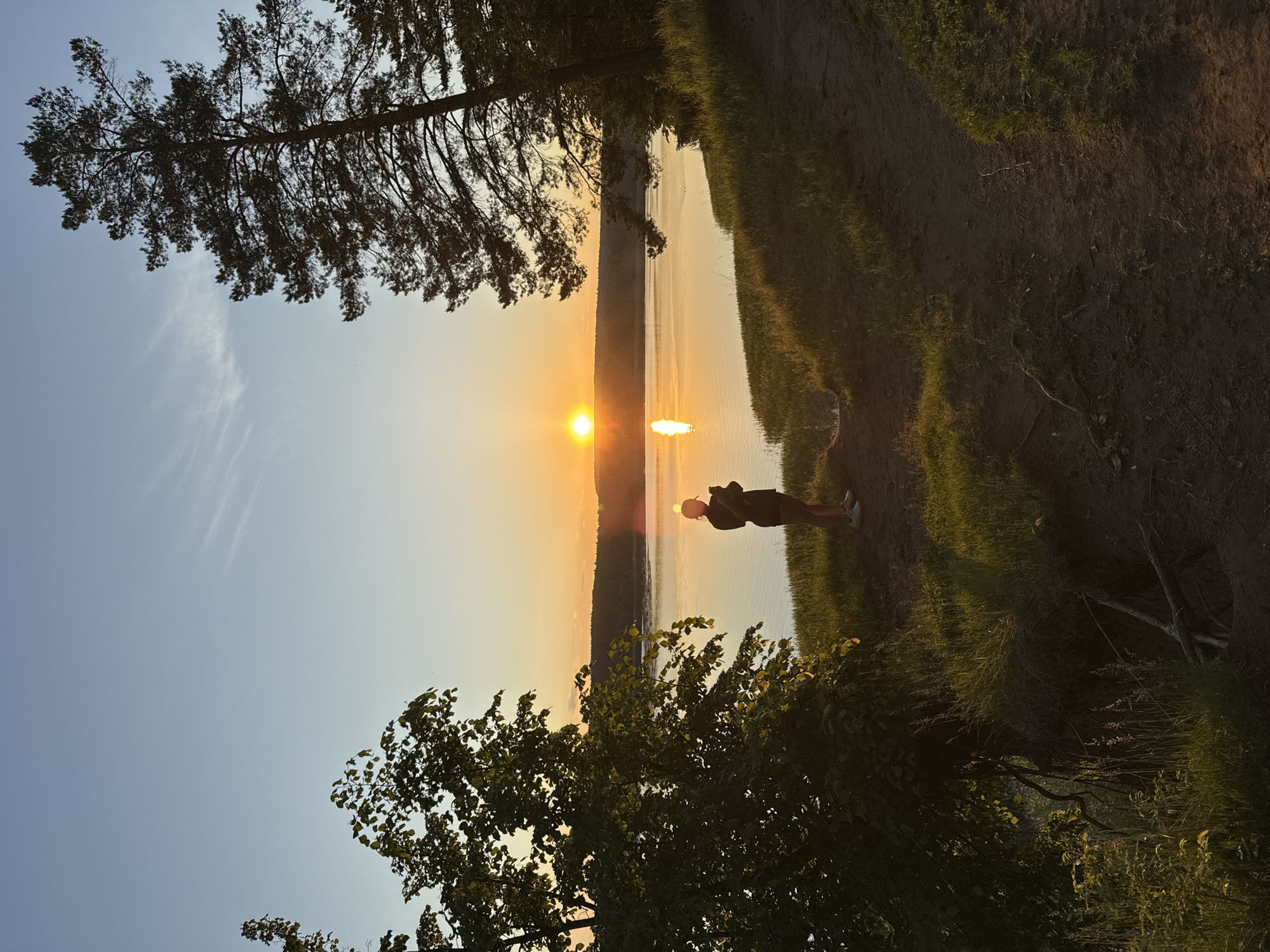 The image depicts a sunset scene over a large body of water, identified as the Votkinsk Pond (Votkinsk Reservoir) in Votkinsk, Udmurt Republic, Russia. The sun, a bright orange orb, is positioned low on the western horizon, casting a strong, elongated vertical reflection of golden light across the calm water surface.
In the foreground, a dirt path traverses the lower right of the frame, ascending slightly towards the left. The ground consists of dark earth, interspersed with patches of green grass and some visible roots or eroded soil near the water's edge. A lone individual, appearing to be a female, stands in partial silhouette on the bank between the path and the water. She is wearing a light-colored cap, a dark long-sleeved top or jacket, and dark shorts, with white athletic shoes visible. Her posture suggests she is facing the sunset, and she holds a small, dark rectangular object, consistent with a mobile phone, in her hands.
The scene is framed by two prominent trees. On the left, a large deciduous tree with dense foliage occupies the mid-ground, partially obscuring the view of the water, its leaves catching some of the golden light. On the right, a tall conifer tree, likely a pine, stands in stark silhouette against the sky, its rough bark and needles distinctly visible. The distant shoreline across the water features a dark treeline, also silhouetted against the bright horizon. The sky above is a gradient of clear blue, transitioning to a warm orange and yellow near the horizon, with a few faint, wispy clouds present in the upper left quadrant. The overall lighting is characteristic of the golden hour, with long shadows and warm tones dominating the scene.