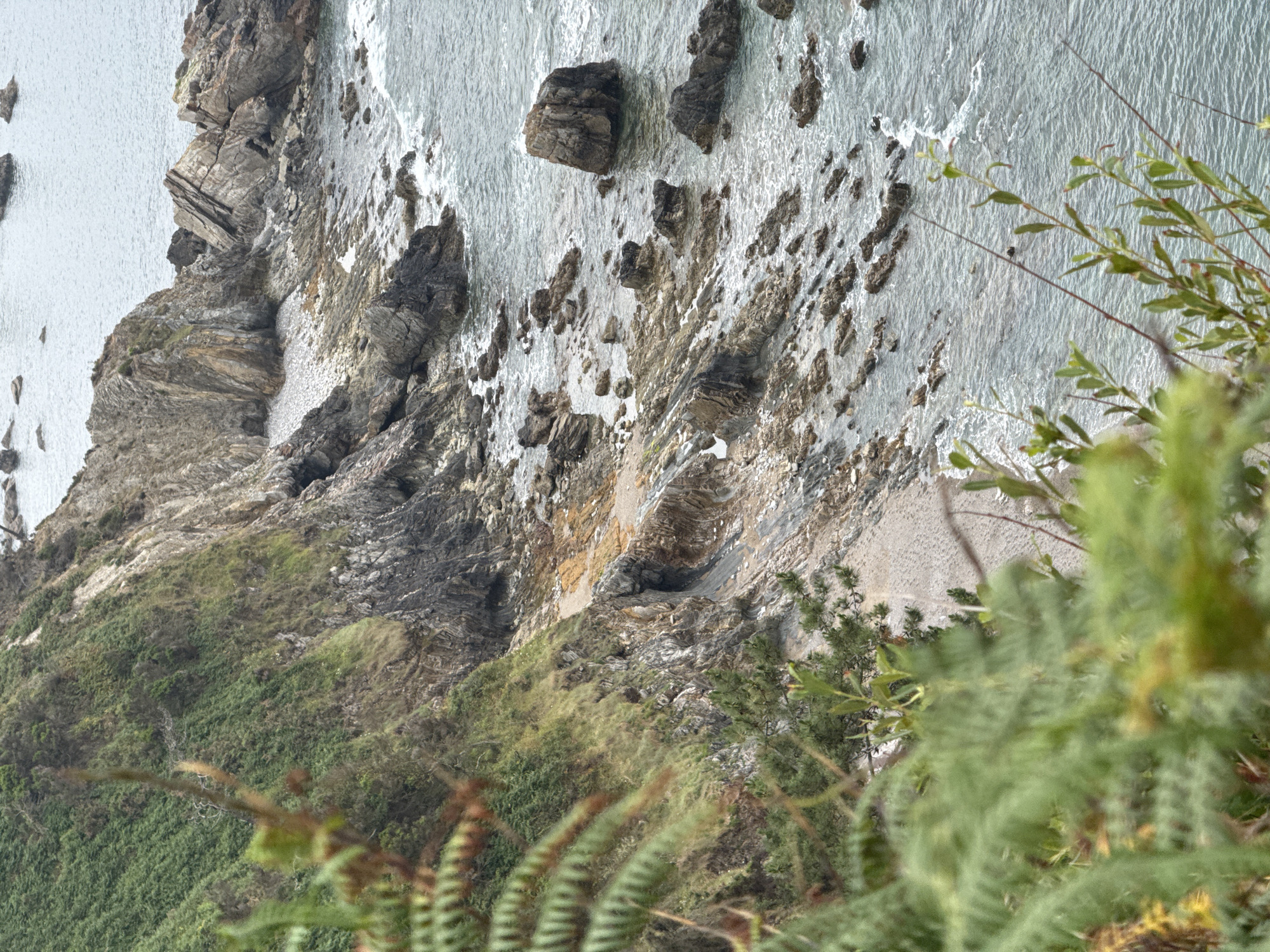This media file depicts a rugged coastal landscape in Cudillero, Spain. The scene looks down from a cliff face towards the ocean and the rocky shoreline below. The water is a muted grey, with small waves lapping against the rocks. Numerous dark, irregular rocks are scattered in the water and along the shore, some partially submerged. The cliff itself is composed of layered rock formations, showing a mix of grey, brown, and some yellowish-orange hues, indicating geological strata.
The upper portion of the cliff is steep and largely barren, with some vegetation clinging to its surface in places. Below the rocky cliff face, the terrain transitions to a vegetated slope covered in lush green scrub and grasses. In the foreground, out-of-focus green foliage, possibly ferns or bushes, partially obscures the view, suggesting the vantage point is from further up the cliff or from a higher elevation.
The weather appears overcast, contributing to the subdued lighting and the grey tones of the water and sky. The time of day is not explicitly discernible but is likely during daylight hours given the visibility. There are no people or specific objects visible, making it a purely natural landscape scene. The overall impression is one of a wild, natural, and somewhat dramatic coastal environment. No text is visible in the image.