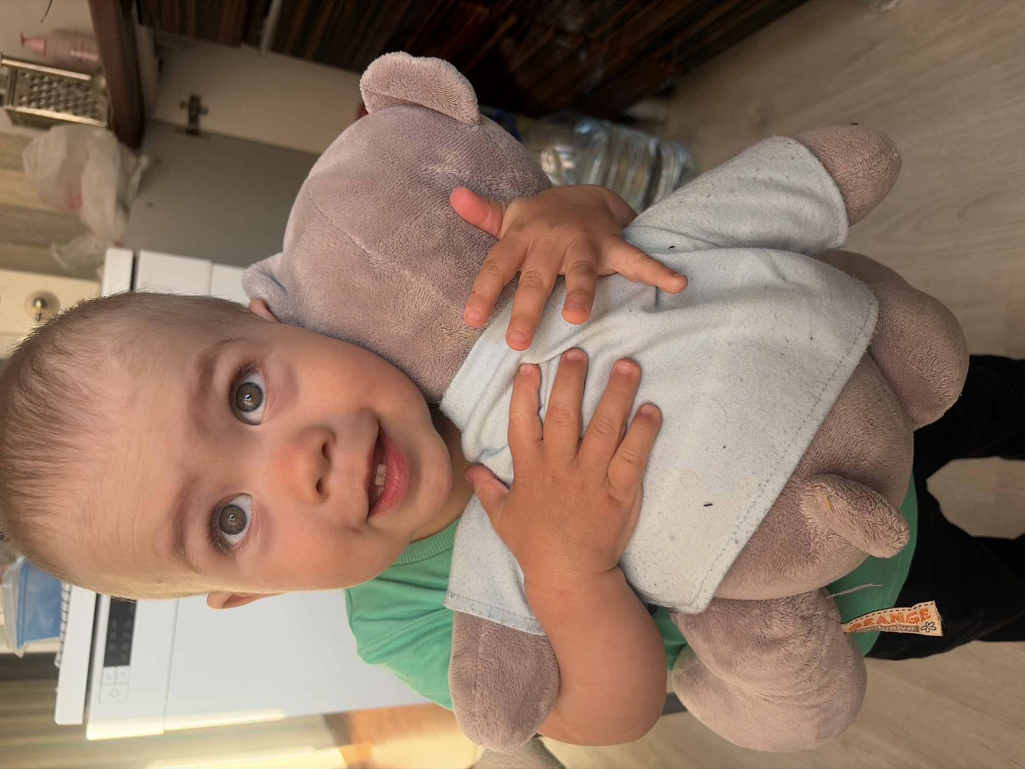 A baby with light brown hair and brown eyes, wearing a green t-shirt, is holding a gray teddy bear in front of their chest. The baby is looking up and to the right with a slight smile. The teddy bear is wearing a light blue shirt. The background shows a kitchen environment with cabinets and a dishwasher. The image is taken indoors.