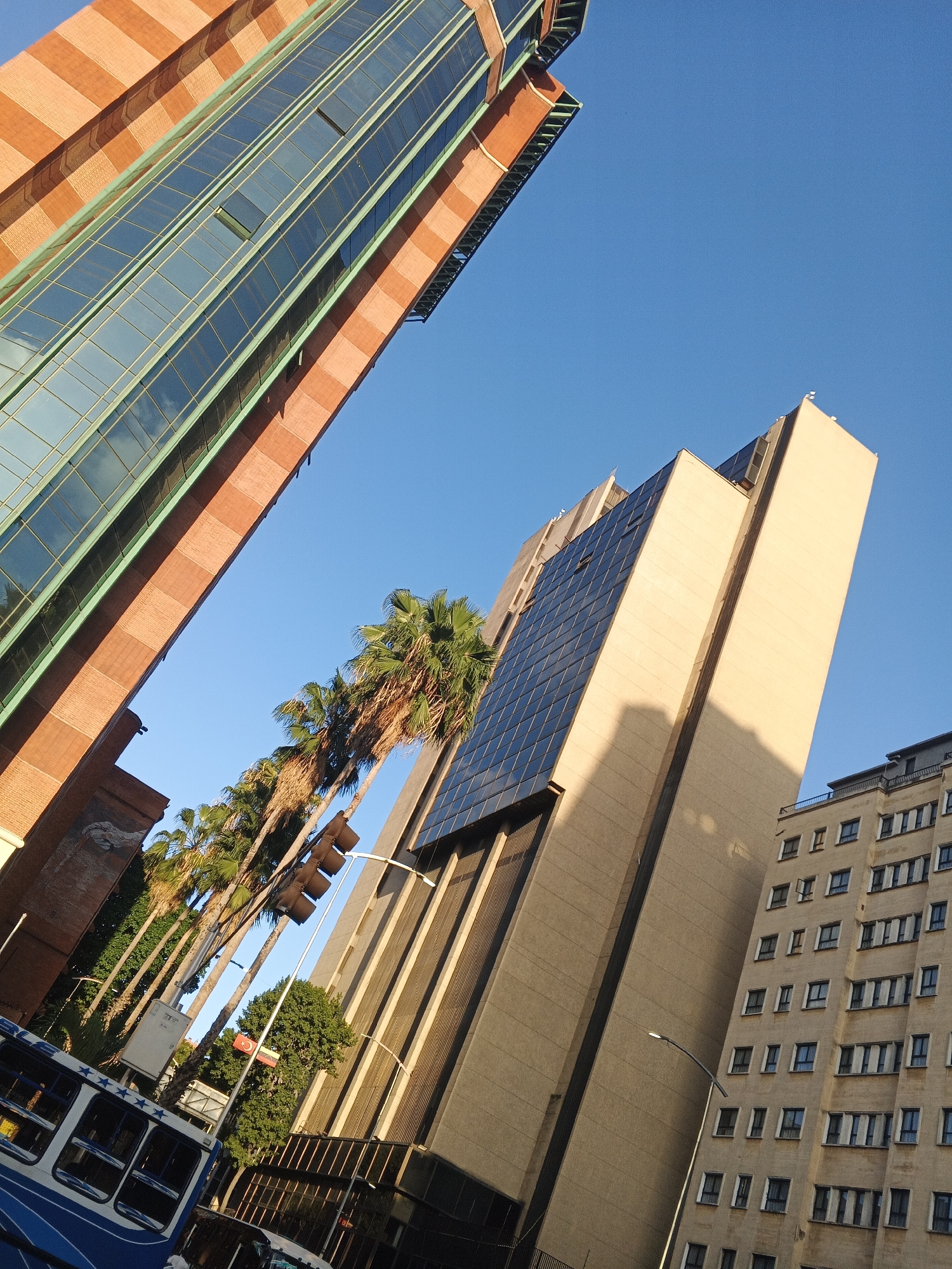 This is a low-angle, upward-facing photograph taken in Caracas, Venezuela, on a clear, sunny day with a bright blue sky. The image captures a cityscape dominated by modern high-rise buildings.
In the foreground, a blue and white bus with a star pattern on its side is partially visible on the left. Behind the bus, a row of palm trees with sparse foliage stretches diagonally across the frame, some appearing dry. To the right of the palm trees, a tall, light-beige colored building with numerous windows stands prominently. It has a distinct shadow cast on its side.
To the far left, a building with a striped orange facade and large glass windows angled towards the sky is visible. Further to the right and slightly behind the beige building, another building with a more traditional architectural style, featuring many small windows arranged in rows, is visible. Traffic lights are present in the middle ground, with a red, yellow, and blue flag visible on a pole amongst the trees. Streetlights are also present. The overall impression is one of urban development and architecture under a bright sky.