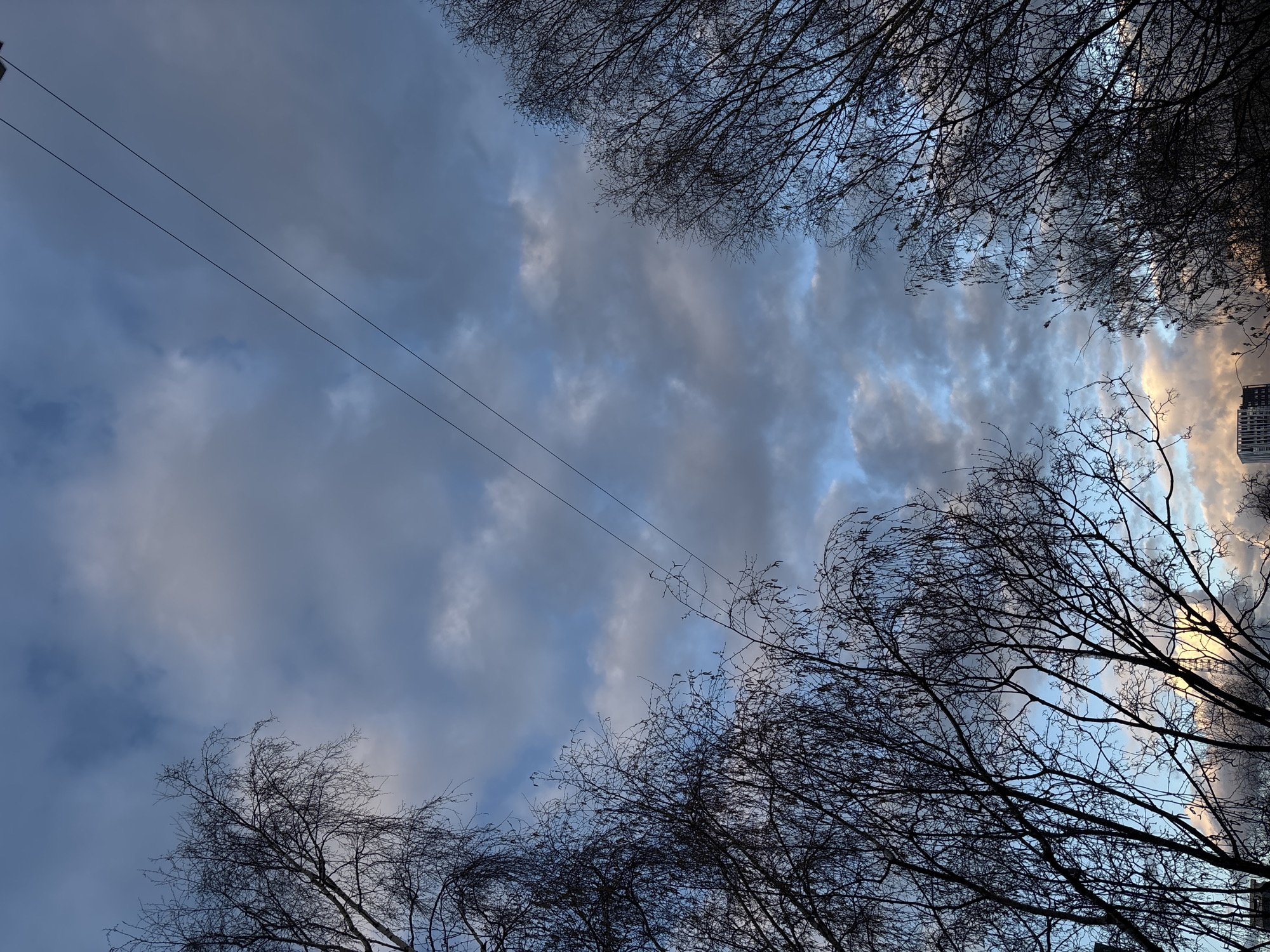 The image shows a view looking upwards towards a cloudy sky framed by bare tree branches. Two parallel power lines stretch across the upper-left quadrant. A building is visible on the right edge of the frame. The photograph was taken in Perm, Russia.