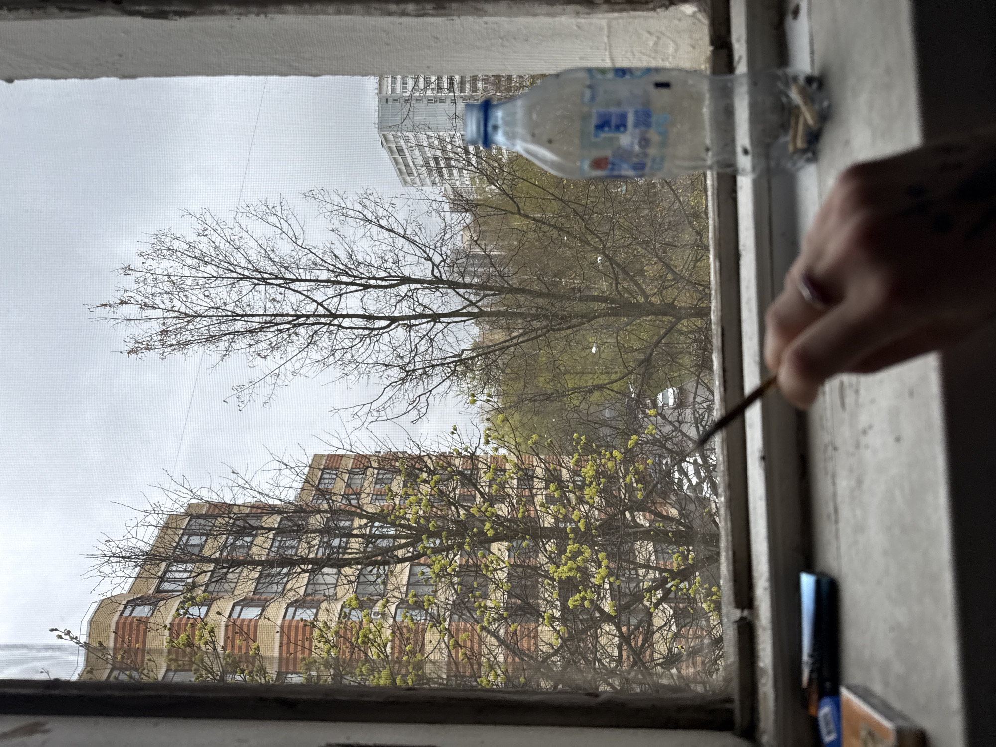 The image presents a view looking out from an indoor window into an urban landscape, appearing to be rotated 90 degrees clockwise. The scene is filtered through a fine mesh screen that covers the window.
In the immediate foreground, sections of an old, worn window frame are visible at the top, bottom, and right. A small, clear plastic water bottle with a blue cap and a white label with blue text/graphics (illegible due to blur) is wedged into the upper right corner of the window frame. On the right side, a human hand, wearing a ring on the ring finger, holds a thin, dark object, possibly a brush or stick, near the window frame. Below the hand, parts of a dark rectangular object and a small box are also visible.
Beyond the window, the sky is uniformly grey and overcast, suggesting a cloudy daytime. Several trees are prominent, with some displaying bare, intertwining branches, while others are in early spring bloom, showing clusters of bright green leaves or buds. In the background, two buildings stand out. One is a taller, light-colored high-rise building, appearing somewhat distant. The other, closer and partially obscured by the trees, is a multi-story structure characterized by a distinctive architectural style with patterned brickwork (alternating light and reddish-brown) and sloped, rectangular window sections, giving it a terraced or stepped appearance.
The scene depicts a typical urban environment, consistent with the provided location context of Moscow, Russia. The specific activity of the hand holding the object is not clearly defined.