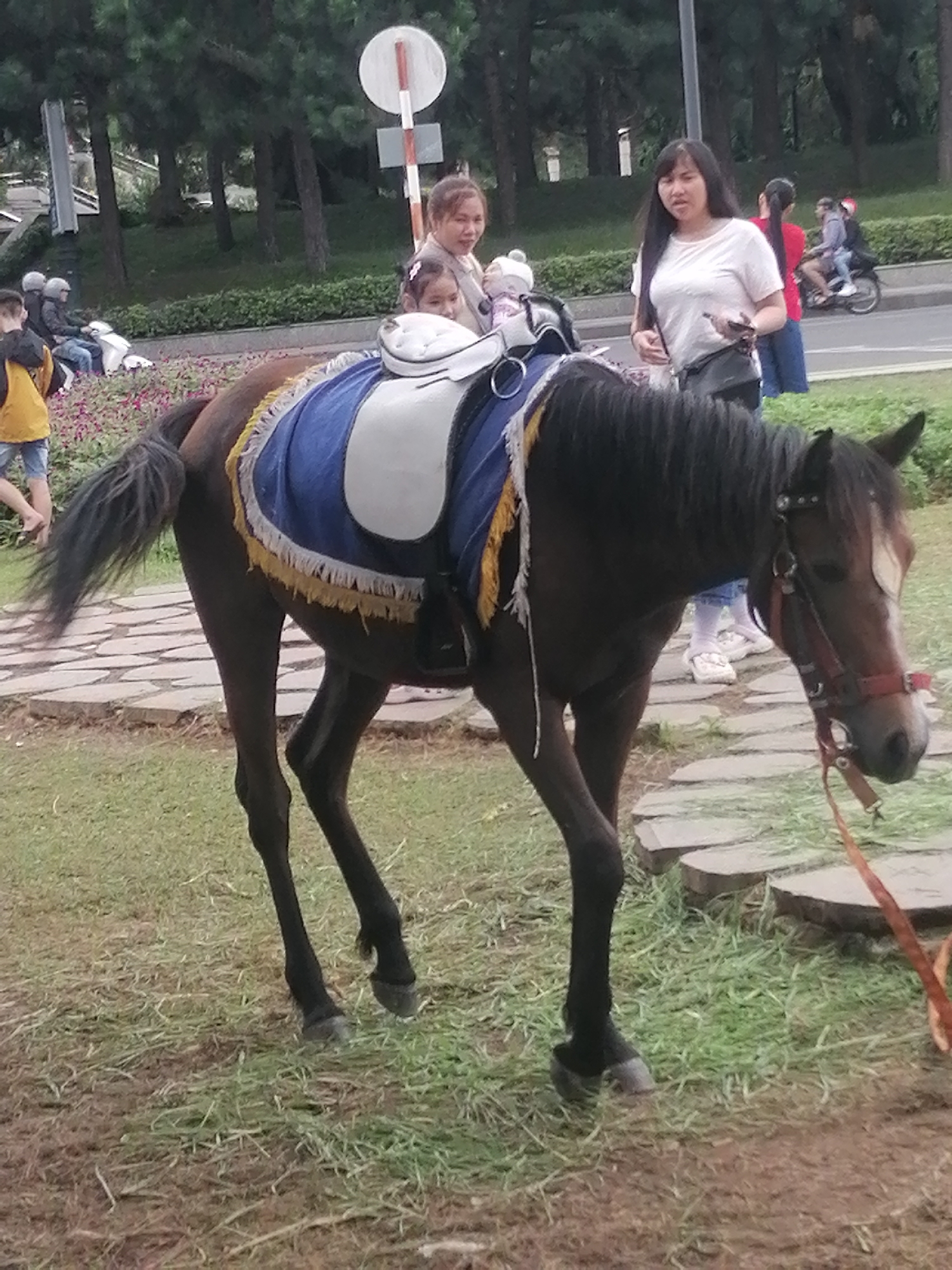 A dark brown horse is standing on a grassy area with a paved walkway behind it. The horse is saddled with a blue and yellow saddle cloth and has a red halter and lead rope. A young girl with dark hair is seated on the horse's back, and another woman with long dark hair is standing next to the horse. In the background, there are trees, a road with a motorbike and two people on it, and a signpost. The scene appears to be a tourist area, likely in Da Lat, Vietnam, given the presence of the horse for rides.