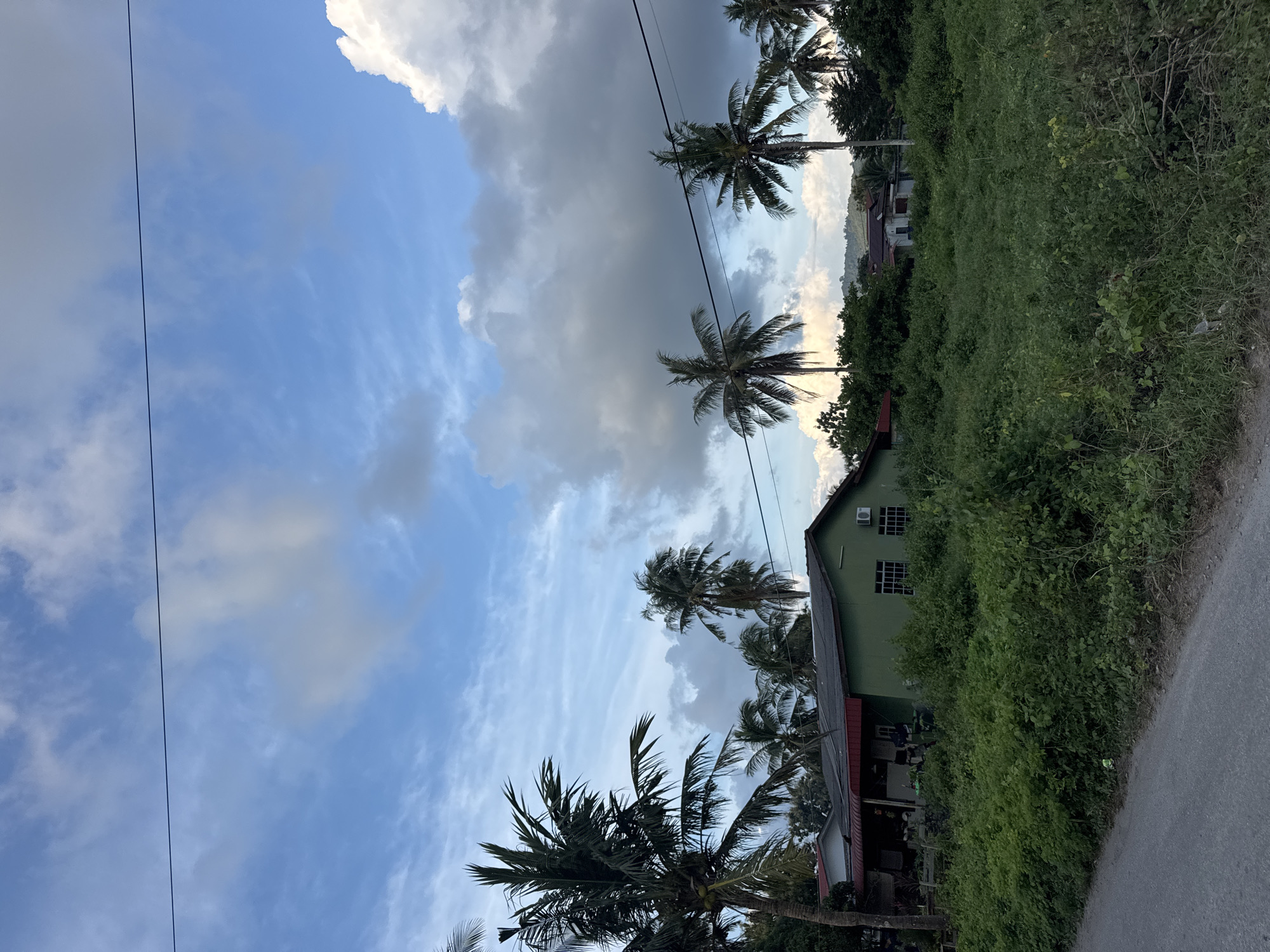 The image depicts a rural scene in Cenang Beach, Malaysia, with a prominent green house situated amidst lush vegetation and coconut palm trees. The sky is a dynamic mix of blue and grey clouds, suggesting variable weather conditions. A single power line traverses the upper portion of the frame. In the foreground, a paved road leads into the scene, bordered by dense green undergrowth. Several residential buildings, including the main green house and a lighter-colored structure in the background, are visible, surrounded by trees and foliage. The overall impression is one of a tropical, possibly semi-urban or suburban environment.