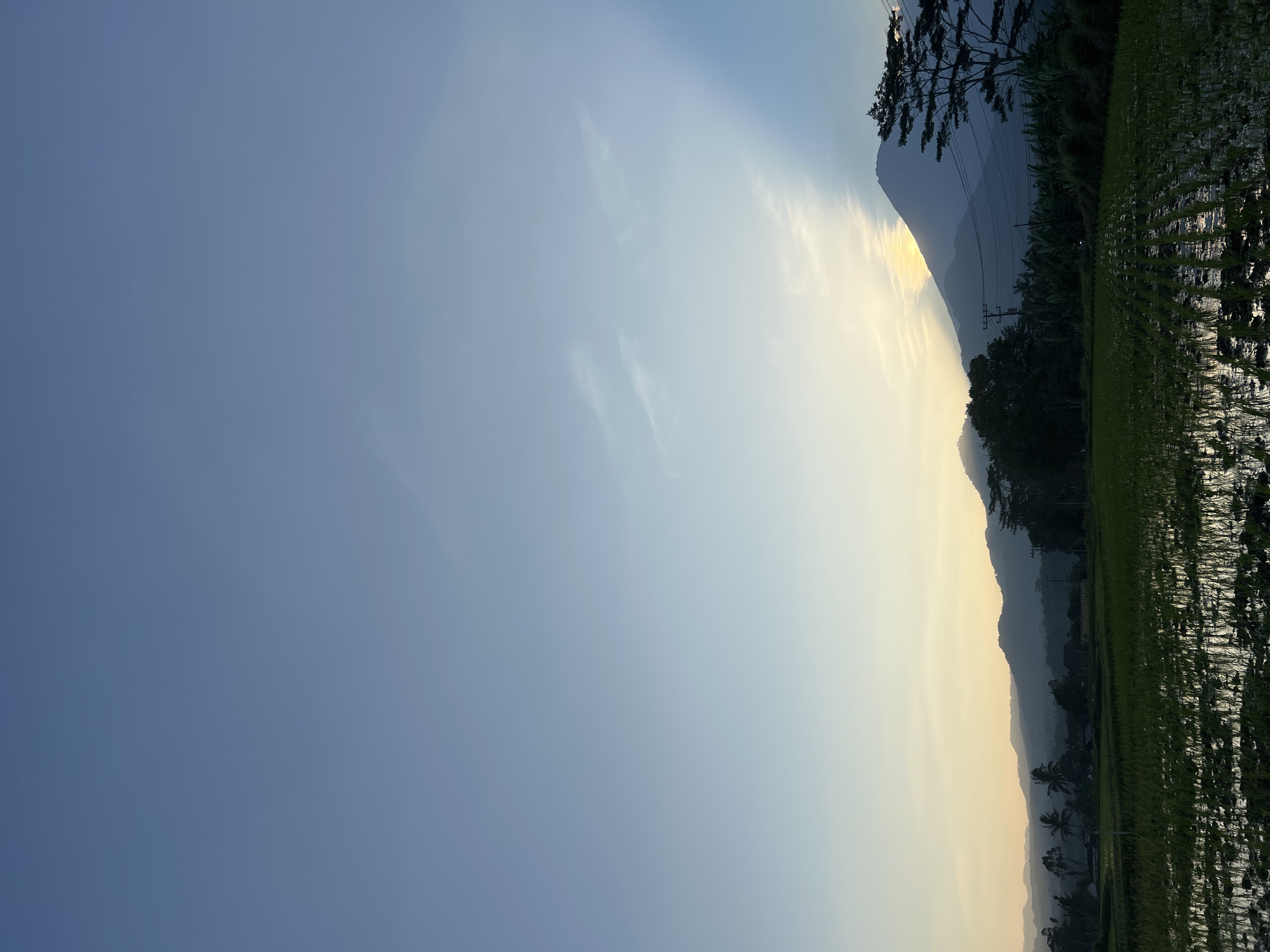 The image depicts a serene rural landscape at dusk, likely in Kalijoso, Indonesia, characterized by a vast expanse of sky transitioning from a deep blue at the top to pale yellow near the horizon. A prominent mountain range silhouetted against the fading light dominates the mid-ground, with a large peak catching a sliver of the setting sun. In the foreground, a flooded rice paddy reflects the twilight sky, with neatly planted rows of young rice shoots visible. Scattered trees, including a tall, leafy one on the right, and power lines suggest a human presence in the otherwise natural setting. A few low-lying buildings are partially obscured by vegetation on the left side of the frame. The overall atmosphere is tranquil, capturing the quiet beauty of a rural Indonesian evening.