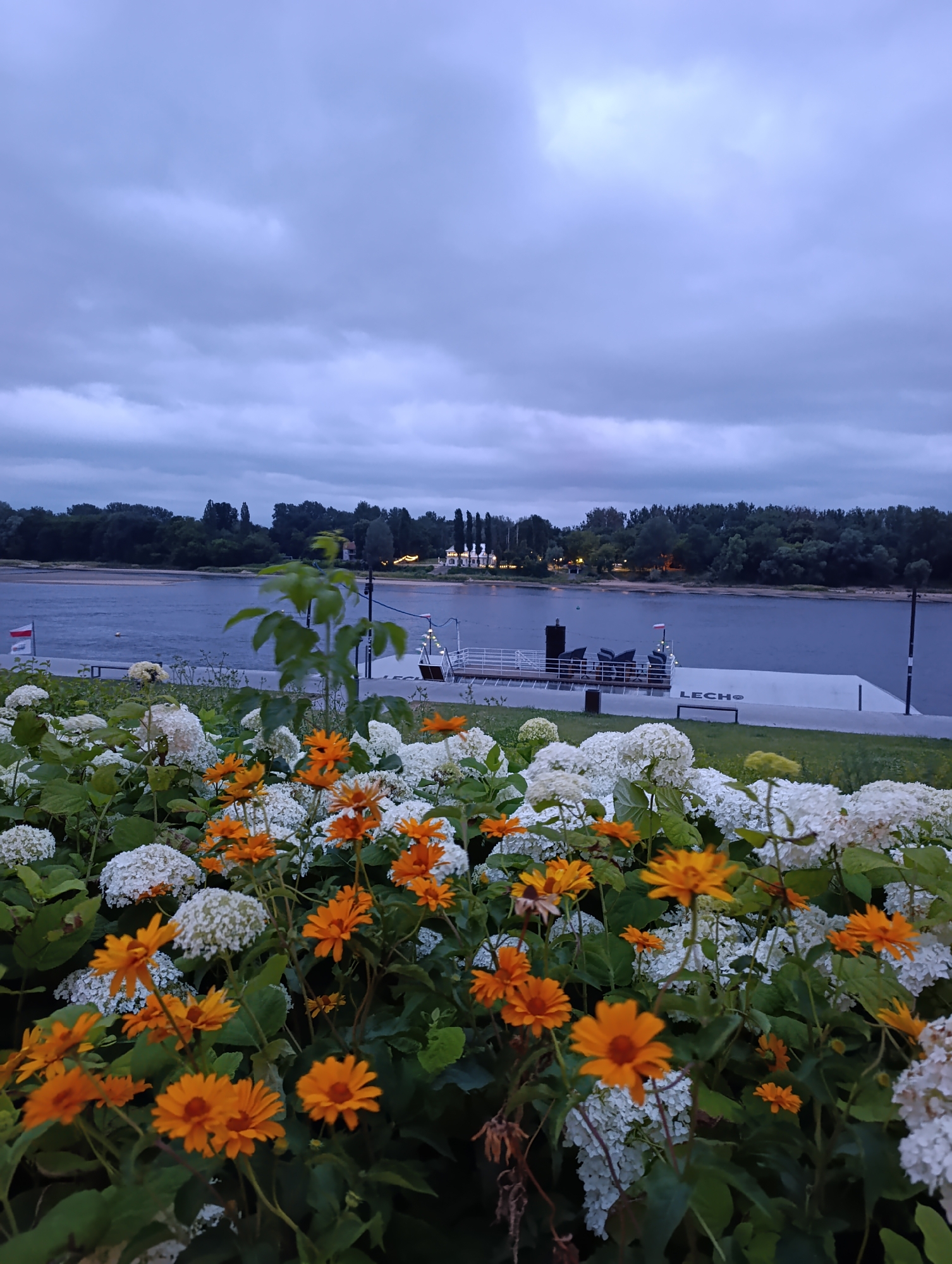The image depicts a waterside scene with lush flowering plants in the foreground. A variety of flowers, including vibrant orange daisies and white hydrangeas, are in full bloom, creating a colorful and textured display. Behind the flowers, a wide river stretches across the frame, its surface reflecting the cloudy sky. On the opposite bank, a dense line of trees forms a dark green border against the horizon.
A modern, flat-topped dock with chairs and tables is visible along the riverbank, suggesting a place for relaxation or public access. The words "LECH" are visible on the side of the dock. A small boat or ferry is moored at the dock. Several lights are visible in the distance along the waterfront, hinting at a town or resort area. The sky is overcast with soft, diffused light, indicating it is either early morning or late evening. The overall mood is serene and tranquil, with a touch of natural beauty enhanced by the surrounding landscape. The location is identified as Toruń, Poland.