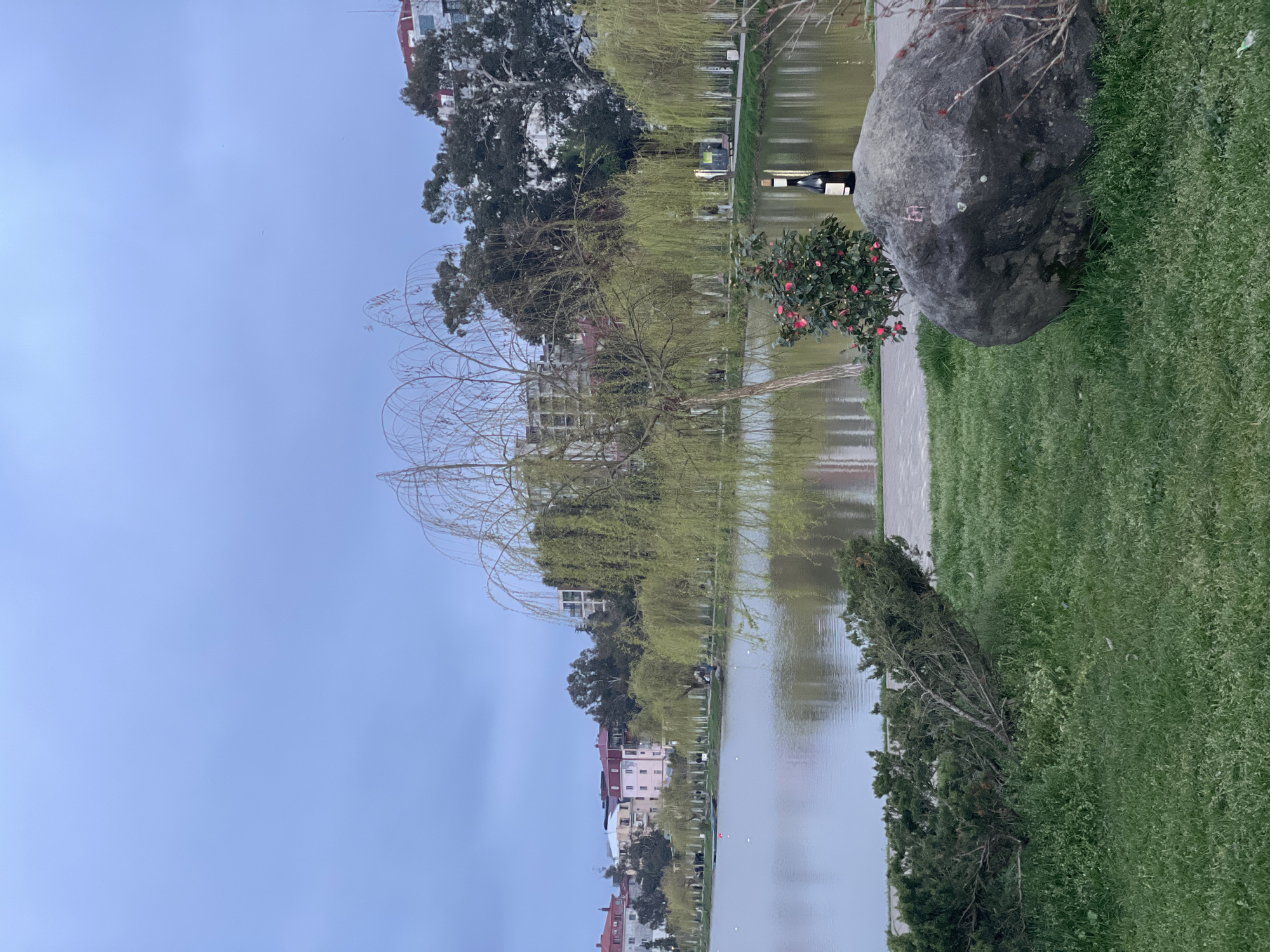 The image depicts a body of water, likely a lake or pond, within a park or green space in Batumi, Georgia. The camera appears to be positioned at ground level, looking across the water. On the opposite bank, there are buildings of varying heights and architectural styles, some of which have red roofs. Trees line the water's edge, including willow trees with their characteristic weeping branches. A large boulder sits near the water on the right side of the image, adjacent to a patch of lush green grass and some bushes. The sky is overcast and appears to be in the early morning or late afternoon. There are no people clearly visible in the scene.