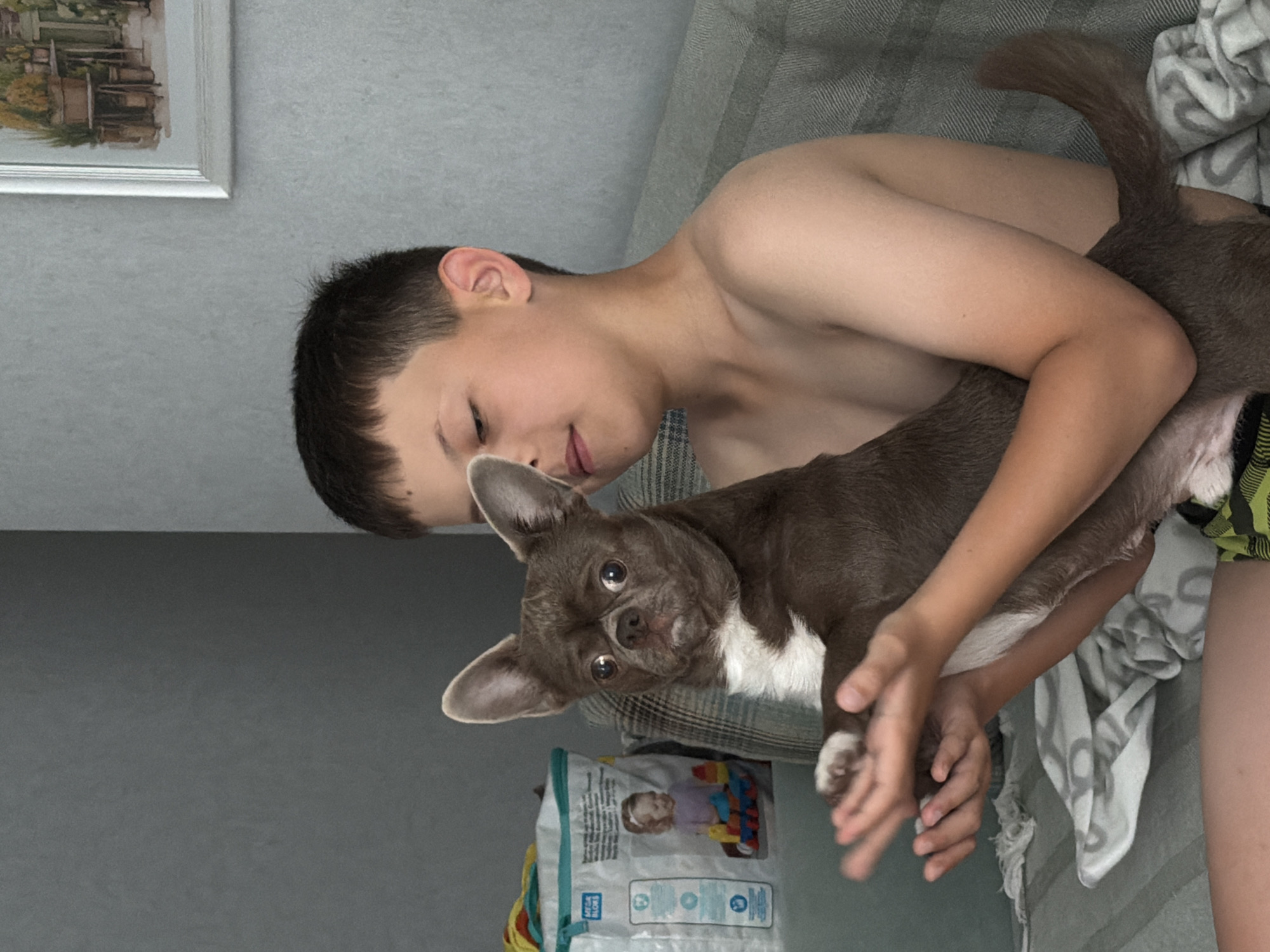A boy is holding a small, brown and white dog on his lap. The boy is looking down at the dog, who is looking directly at the camera with a surprised expression. The dog's ears are perked up. The boy is wearing green and yellow plaid shorts. Behind them, there is a grey textured wall and a framed picture of plants on the wall. To the left of the boy, there is a bag with pictures of toys and a child on it. The scene appears to be indoors, possibly in a living room. It is not possible to determine the location in Votkinsk, Russia based on the image.