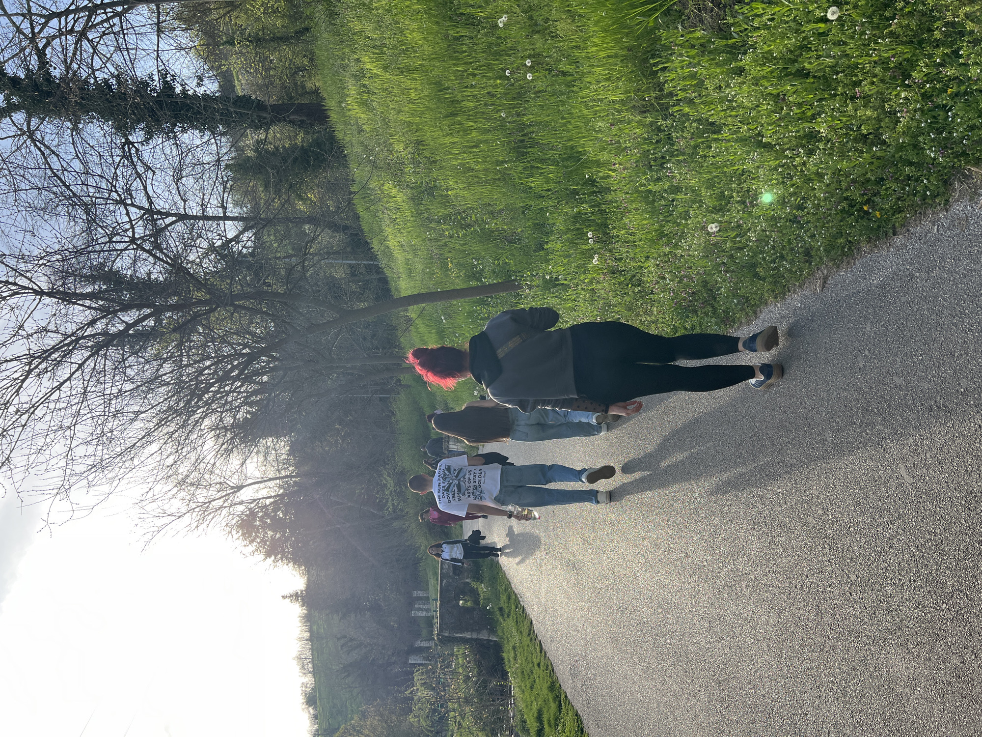 The image displays an outdoor scene of several people walking along a paved path in a natural setting, likely a park or recreational area in Pleven, Bulgaria. The photograph is taken from behind the individuals, showing them moving away from the viewer.
The time of day appears to be late afternoon or early evening, indicated by the low angle of the sun, which casts long shadows of the people onto the path and creates a bright lens flare in the upper left. The weather is clear and sunny.
The closest person has distinctive bright red hair and is wearing a dark top, possibly a hoodie, and dark leggings. Behind them, another individual with long brown hair wears a light blue top and jeans. Further along the path, a person with short hair is visible, dressed in a white t-shirt, blue jeans, and light-colored shoes. The white t-shirt features fragmented text. Clearly legible phrases include "THE SUN FADES" and "ARTS OF US." Other visible fragments from the OCR include "DAYS S," "DOV," "FEEL," "SUY," "AYS STAY A," and "DAGOLDEN," suggesting a longer message, possibly "DAYS STAY A GOLDEN." Another person in a black and white jacket is seen further in the distance.
The path is bordered by vibrant green grass on both sides, dotted with small white dandelions. Various trees line the path; some appear to be bare-branched deciduous trees, suggesting early spring, while others have green foliage. The scene conveys a sense of calm and leisure, as the group enjoys a walk outdoors.