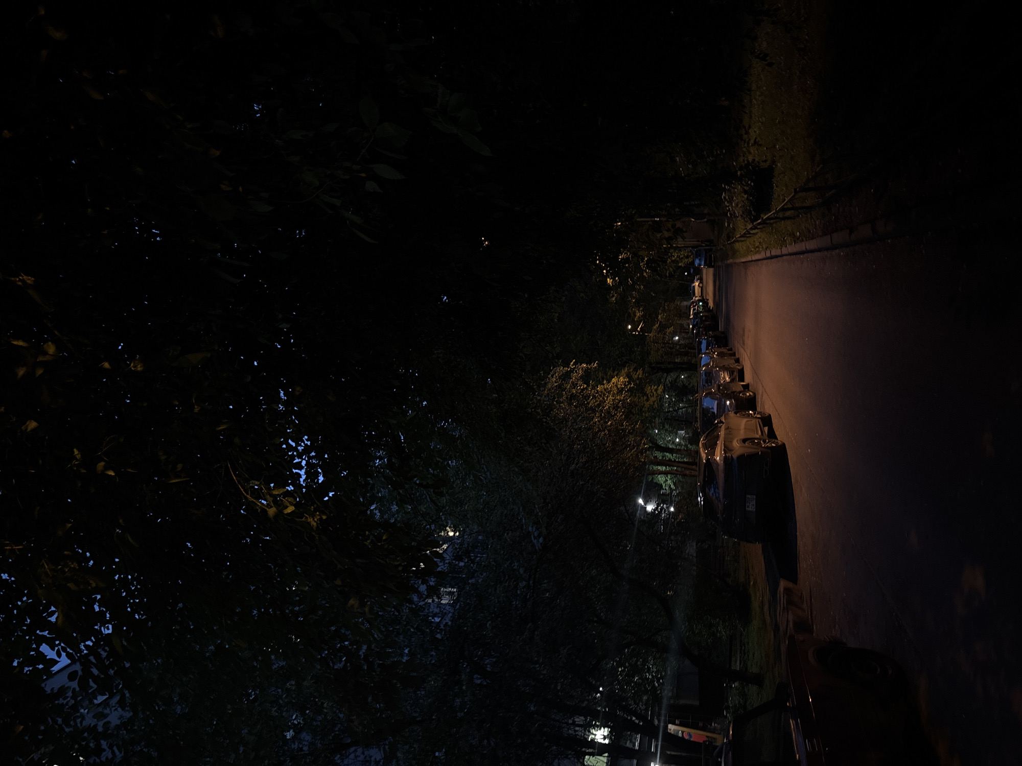 This is a nighttime photograph of a quiet, tree-lined street in Saint Petersburg, Russia. The scene is dimly lit by streetlights, casting long shadows and illuminating parked cars. The trees overhead form a dense canopy, with some leaves catching the light. Several cars are parked along the side of the asphalt road, their forms partially obscured by darkness. The overall atmosphere is serene and still.