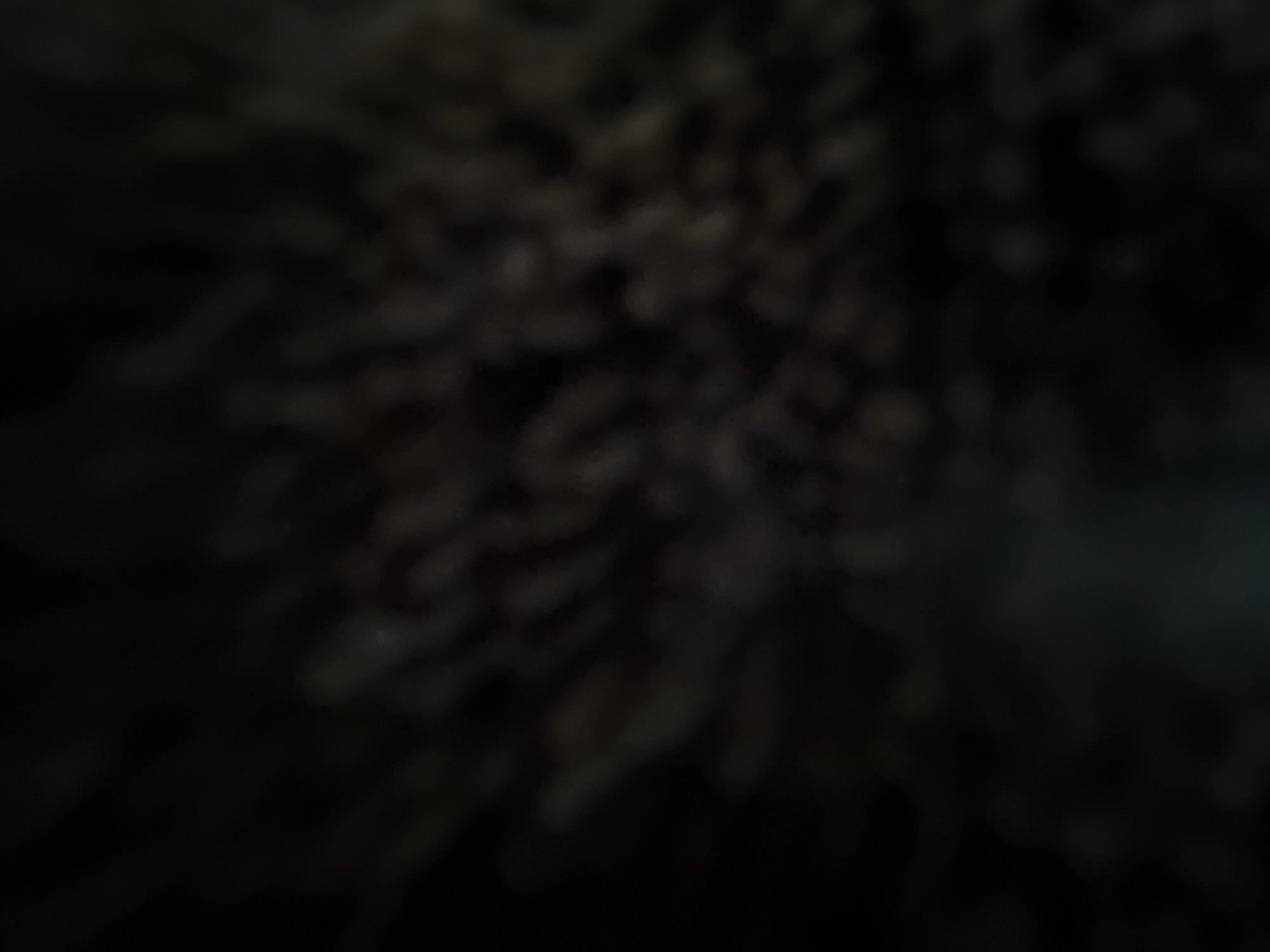 The image is a highly abstract and blurred depiction of what appears to be a dark, textured surface. It is difficult to discern specific subjects, objects, or a clear scene due to the extreme lack of focus. The overall impression is one of darkness, with faint, scattered lighter areas that could be interpreted as highlights or distant light sources.
The image does not appear to capture any discernible activity or event. There are no clear indicators of people, objects, or a defined setting. The texture suggests something organic or granular, but without focus, it remains ambiguous.
Notable details are extremely limited. The time of day is not discernible, nor is any information about weather conditions. There are no location cues that can be identified. Emotion is also impossible to gauge from this abstract, out-of-focus image.
There is no visible text in the image. The overall effect is one of mystery and abstraction, with the viewer left to interpret the forms and textures without clear context. The dark tones and blurred shapes create a somber or perhaps contemplative mood, but this is purely subjective due to the lack of concrete elements.