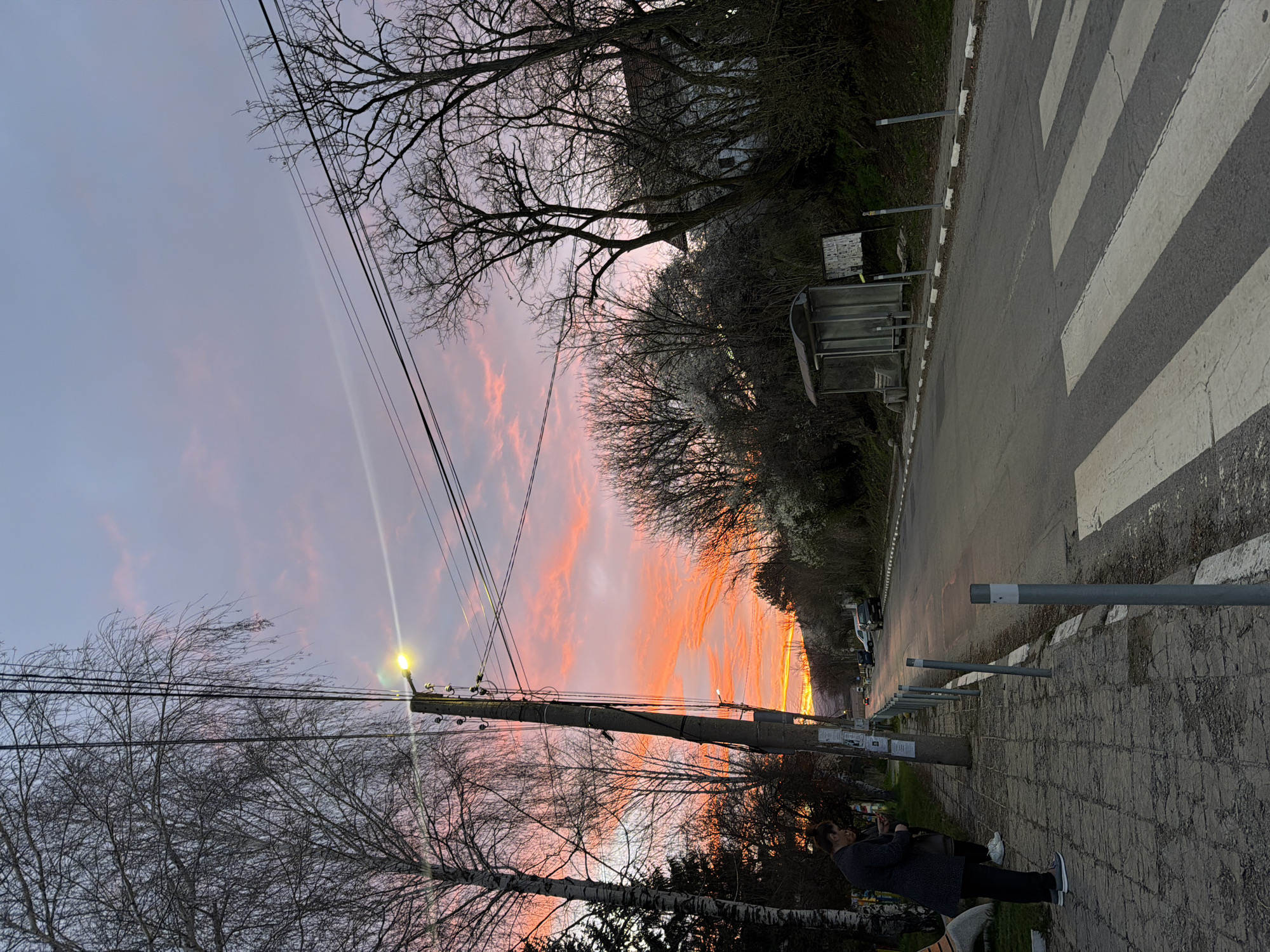 An eye-level, outdoor, long-angle photograph shows a sunset in Dragichevo, Bulgaria. The image is slightly rotated clockwise. The sky features horizontal streaks of orange and pink clouds against a backdrop of lavender and purple hues. A prominent wooden utility pole stands in the foreground, adorned with multiple wires and a glowing light fixture. Bare tree branches are silhouetted against the sky in the lower left and top of the frame.
To the right of the utility pole, a sidewalk and road are visible. A bus stop shelter stands next to the road. A pedestrian crosswalk is painted on the street. A line of metal bollards runs along the edge of the sidewalk. A person is sitting on a bench to the lower right, wearing dark clothing and white sneakers, with their back to the camera. The person appears to be looking at a phone. A building and denser foliage are seen further down the road. Several cars are parked along the side of the road.