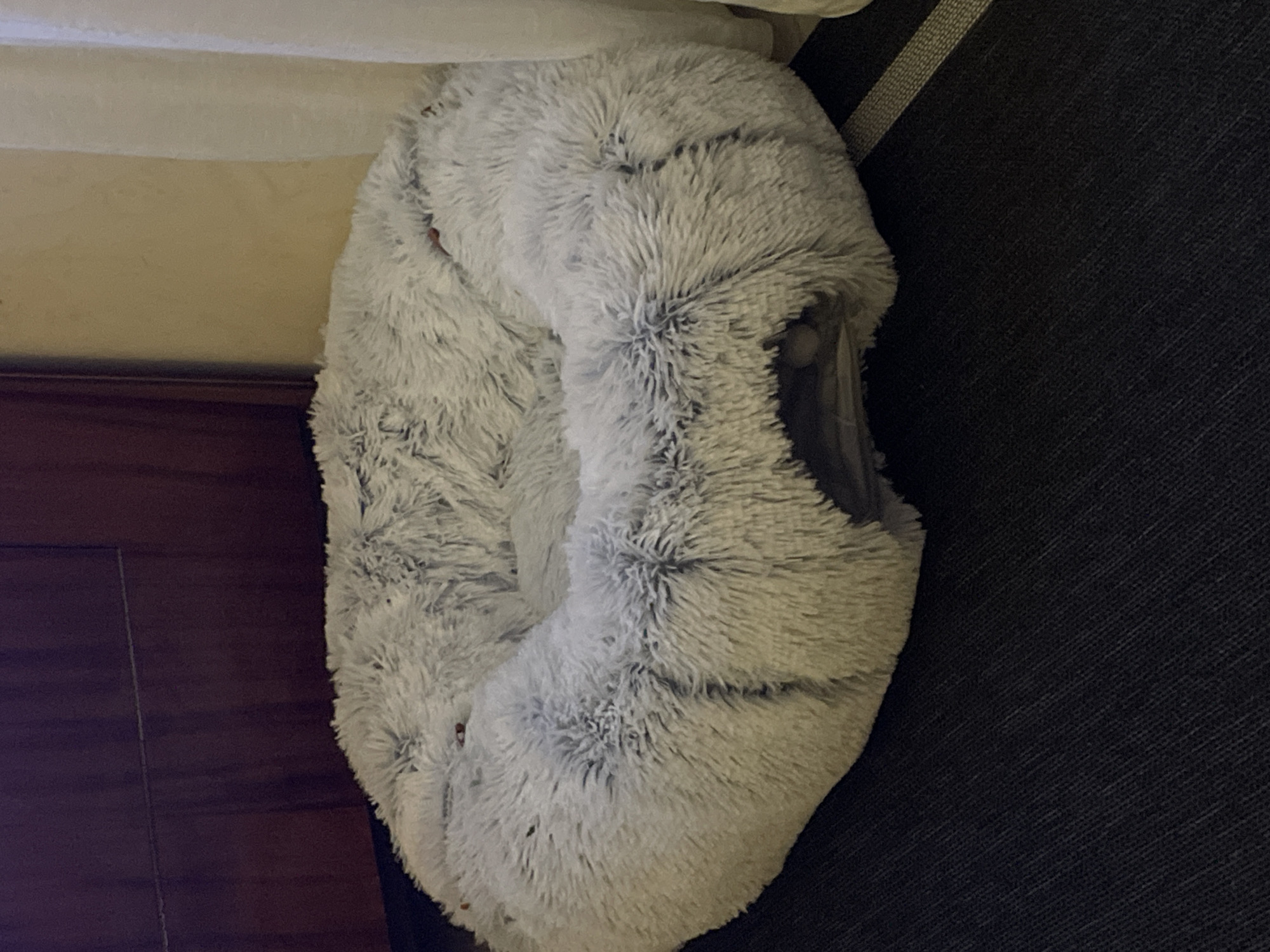 A grey, fluffy, donut-shaped pet bed is positioned partially on a dark blue or grey fabric-covered surface, possibly a couch, and partially on a dark wooden surface, likely a floor or a piece of furniture. The top edge of the bed is partially under a light-colored or white surface. The location in the city of Лесной Пейзаж Кп (шарапово), Russia is unknown.