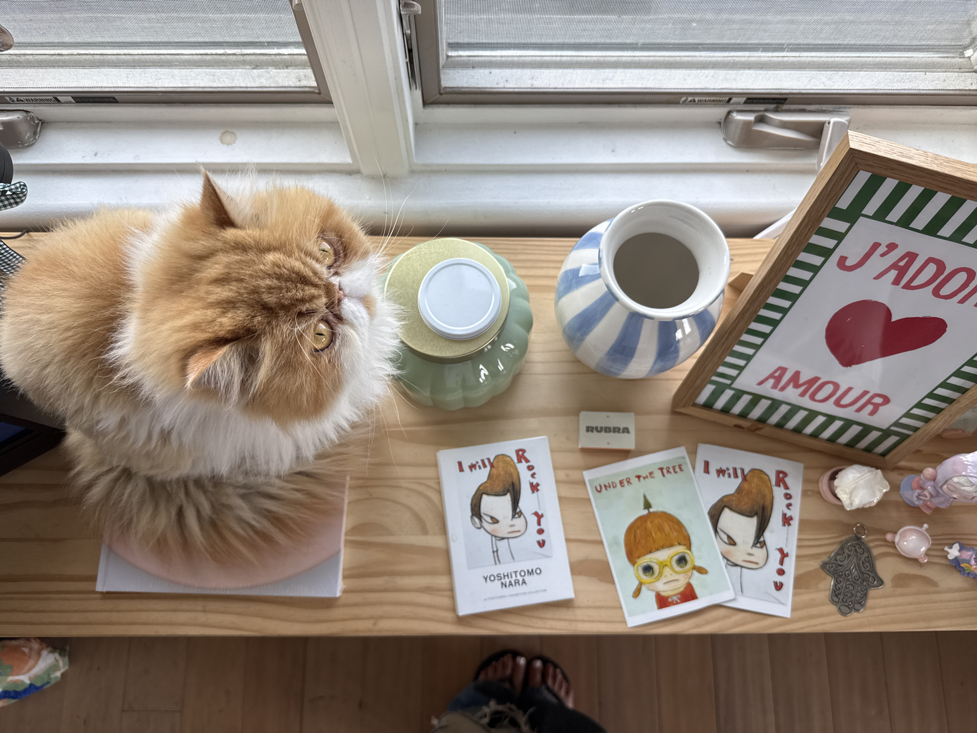 An overhead view captures a fluffy orange and white long-haired cat looking upwards, perched on a light-colored book or platform on a wooden surface. The cat has prominent golden eyes and a white chest and face.
The wooden surface, likely a shelf or windowsill, is arrayed with various objects. To the cat's right, a light green, ribbed jar with a white and gold lid sits beside a blue and white striped ceramic vase or cup. Further right, a framed artwork displays a red heart surrounded by the French words "J'ADOR" and "AMOUR" in red, framed by green and white stripes.
In front of the framed art are three small cards or prints. Two feature illustrations by Yoshitomo Nara: one depicting a character with a pompadour and the text "I will Rock you," and another showing a child with yellow glasses, titled "UNDER THE TREE." A small white block marked "RUBRA" is also present. To the far right, a collection of small decorative items includes a silver hamsa hand charm and various miniature figurines.
In the background, a window with a screen and white framing is visible, allowing natural light into the indoor setting. "A WARNING" and "WARNING" text is visible on the window frame hardware. At the bottom of the image, a person's bare feet in sandals are seen, indicating the photo was taken from above. The scene is set indoors during the daytime, in Los Angeles, United States of America.