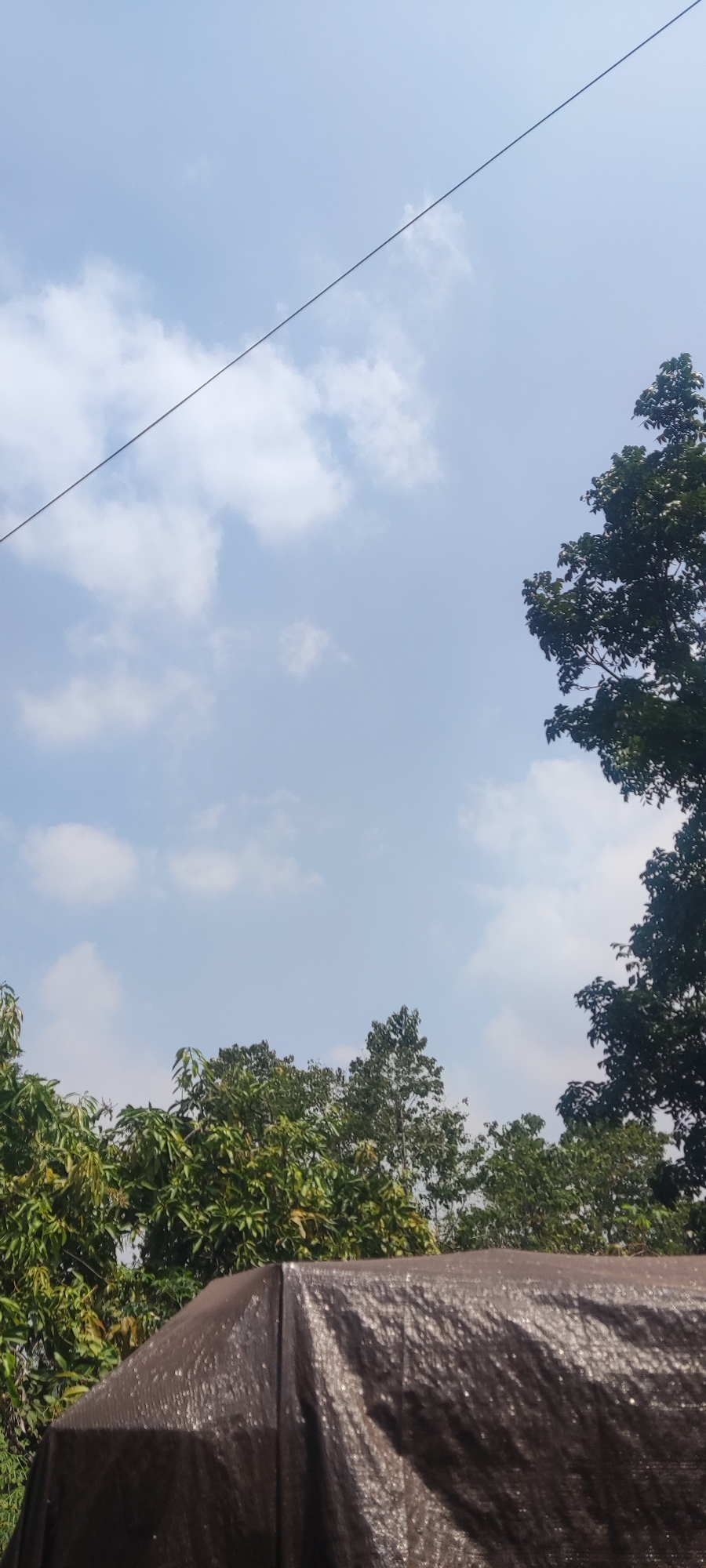 The image captures an outdoor scene in Panongan Lor, Indonesia, under a bright, mostly clear sky with scattered white clouds. A thin black wire stretches diagonally across the upper portion of the frame. Below the sky, the tops of several lush green trees are visible, their foliage dense and varied in texture. In the foreground, a dark, brown, tarp-covered structure dominates the lower part of the image. The tarp has a slightly wrinkled texture and reflects light, suggesting it is likely made of plastic or a similar waterproof material. The overall impression is one of a clear day, with natural elements like trees and sky contrasted with a man-made covering.