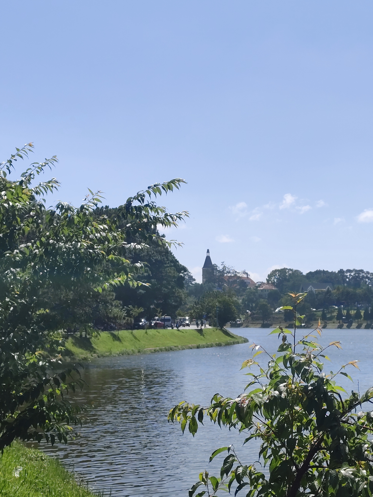 This image depicts Xuan Huong Lake in Da Lat, Vietnam, on a bright, clear day. The foreground is dominated by lush green foliage of trees and grass, obscuring the lower portion of the scene. The mid-ground reveals the tranquil blue waters of Xuan Huong Lake, with gentle ripples reflecting the sky. Along the opposite bank, a curved road is visible, lined with grass and trees, with several vehicles including cars and motorcycles parked or in motion. Further in the background, a cluster of buildings and trees are nestled on a hillside, with a distinct tower-like structure standing out amongst them. The sky above is a vibrant, cloudless blue.