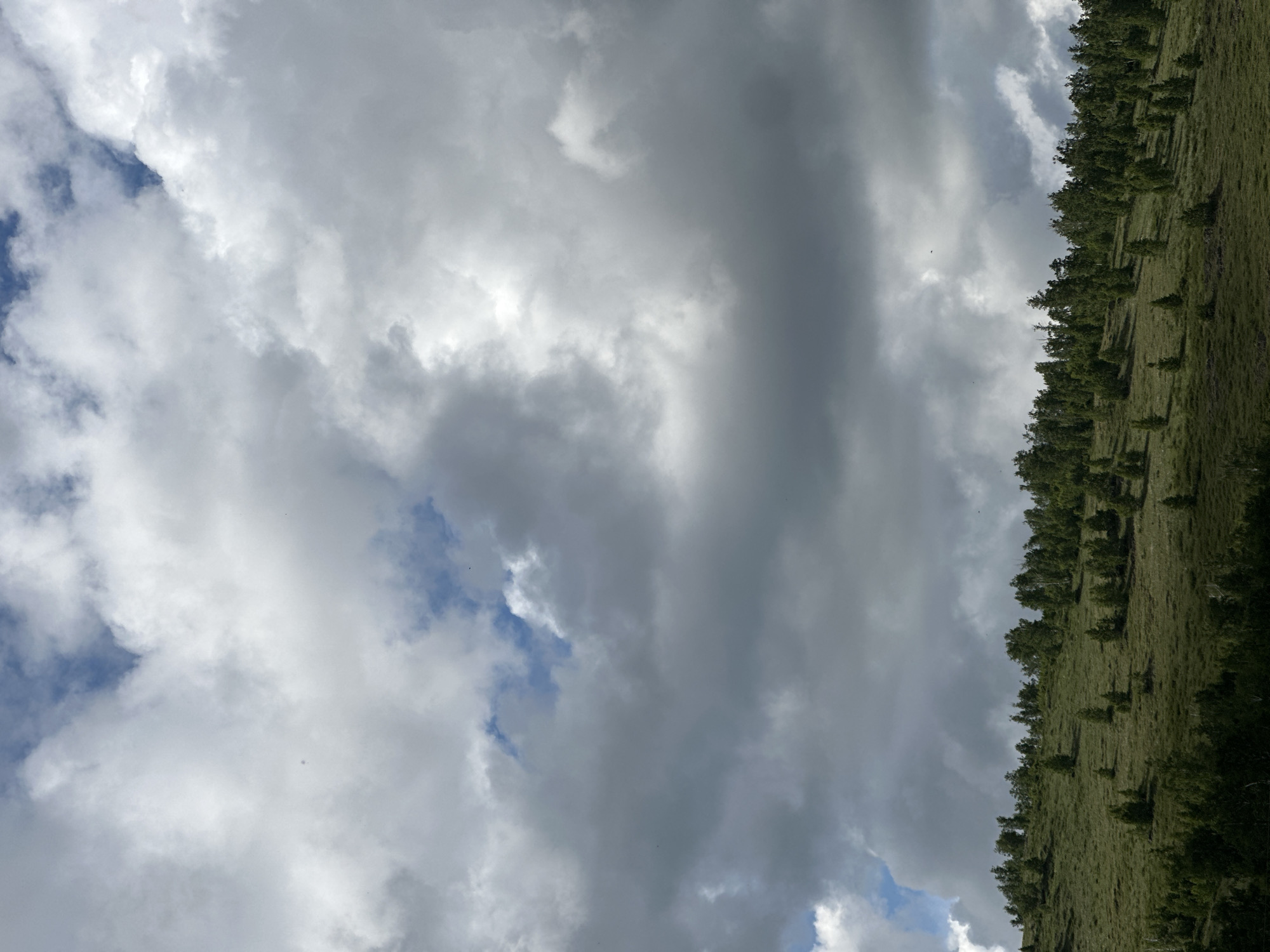 The image shows a hillside against a sky with thick clouds. The hillside is covered in green vegetation, including numerous trees. The sky is predominantly filled with white and gray clouds, obscuring parts of what appears to be a blue sky. The location is Unknown, Unknown.