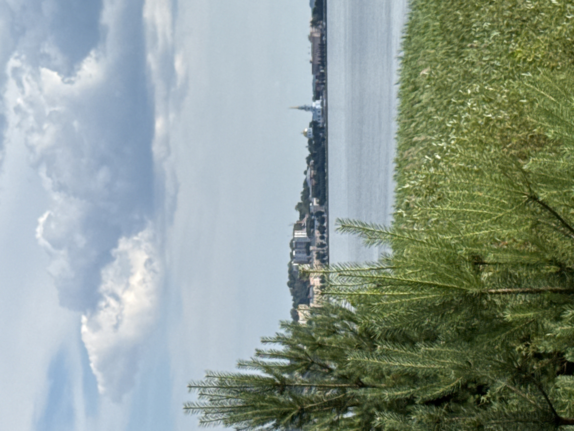The image captures a serene landscape in Votkinsk, Russia, likely near the Votkinsk Reservoir. In the foreground, lush green pine trees and reeds dominate the view, their branches and leaves creating a dense, textured layer. Beyond the vegetation, a calm body of water stretches across the mid-ground, its surface reflecting the soft, overcast sky. On the far horizon, the silhouette of Votkinsk is visible, with buildings and a prominent church spire dotting the landscape. The sky above is filled with dramatic, heavy clouds, suggesting a potentially changeable weather day. No people or animals are discernible in the scene. The overall impression is one of natural beauty and quietude, with the town serving as a subtle backdrop to the expansive water and sky.