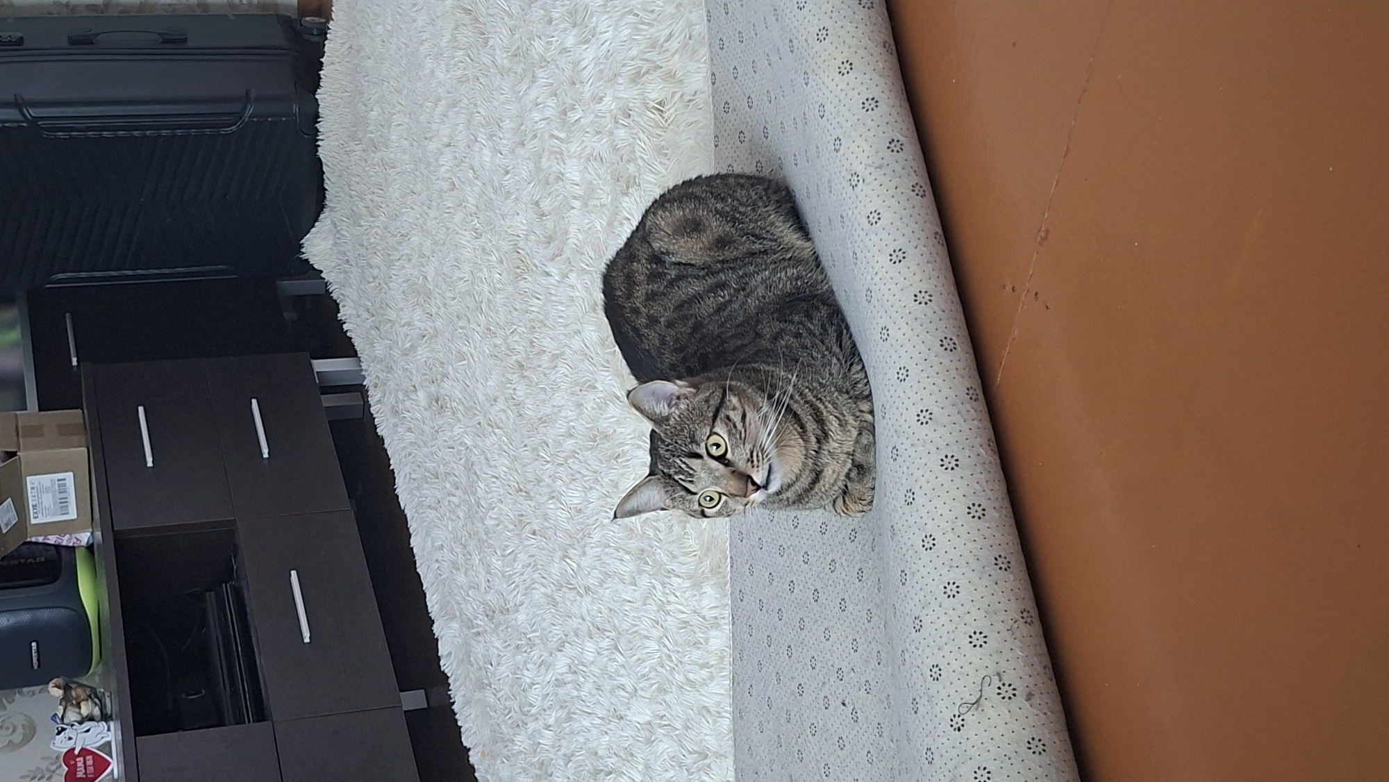 A tabby cat is lying on a rug with a floral pattern. The cat is looking to the left with its paws tucked under its body. The rug is on a wooden floor. In the background, there is a white fluffy rug and a dark brown cabinet with drawers. There are also some boxes on top of the cabinet and a black suitcase next to it. The scene appears to be indoors, possibly in a living room or hallway.