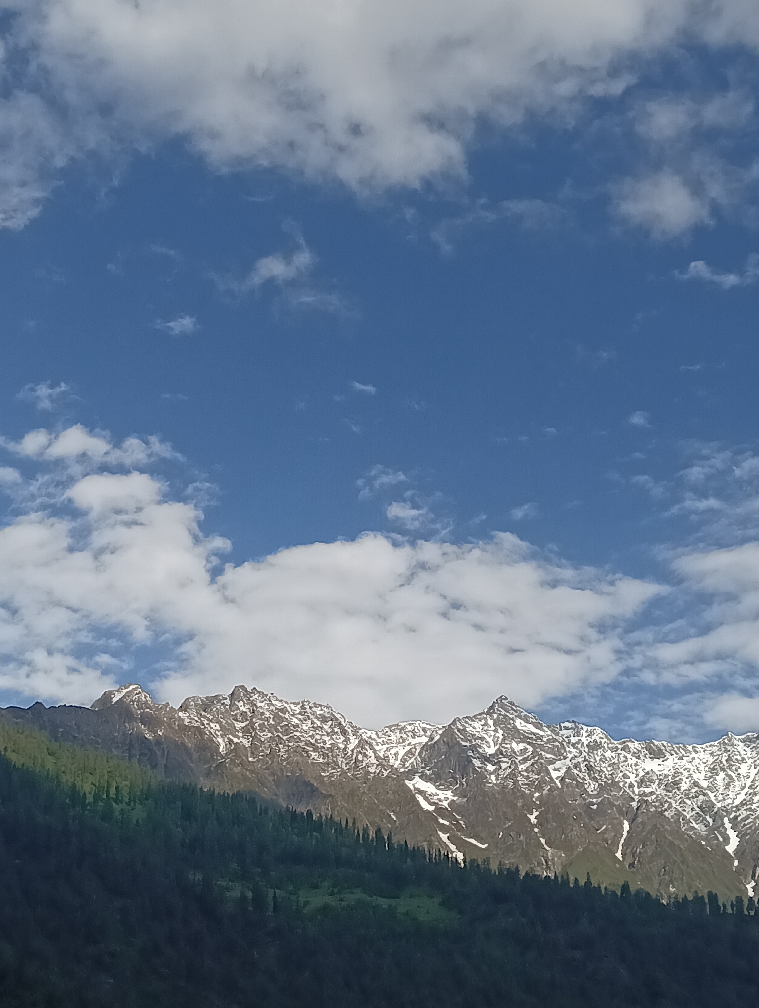The image displays a majestic mountain range under a bright blue sky dotted with scattered white clouds. The lower slopes of the mountains are covered in dense, dark green pine forests, gradually giving way to rugged, rocky terrain that is partially covered in snow towards the peaks. The snow-capped summits appear sharp and imposing against the sky, suggesting a high altitude. The overall scene is one of natural grandeur and tranquility, typical of mountainous regions. The location is Vashisht, India, a town known for its scenic beauty and proximity to the Himalayas. There are no people or man-made objects visible in the frame, focusing entirely on the natural landscape.