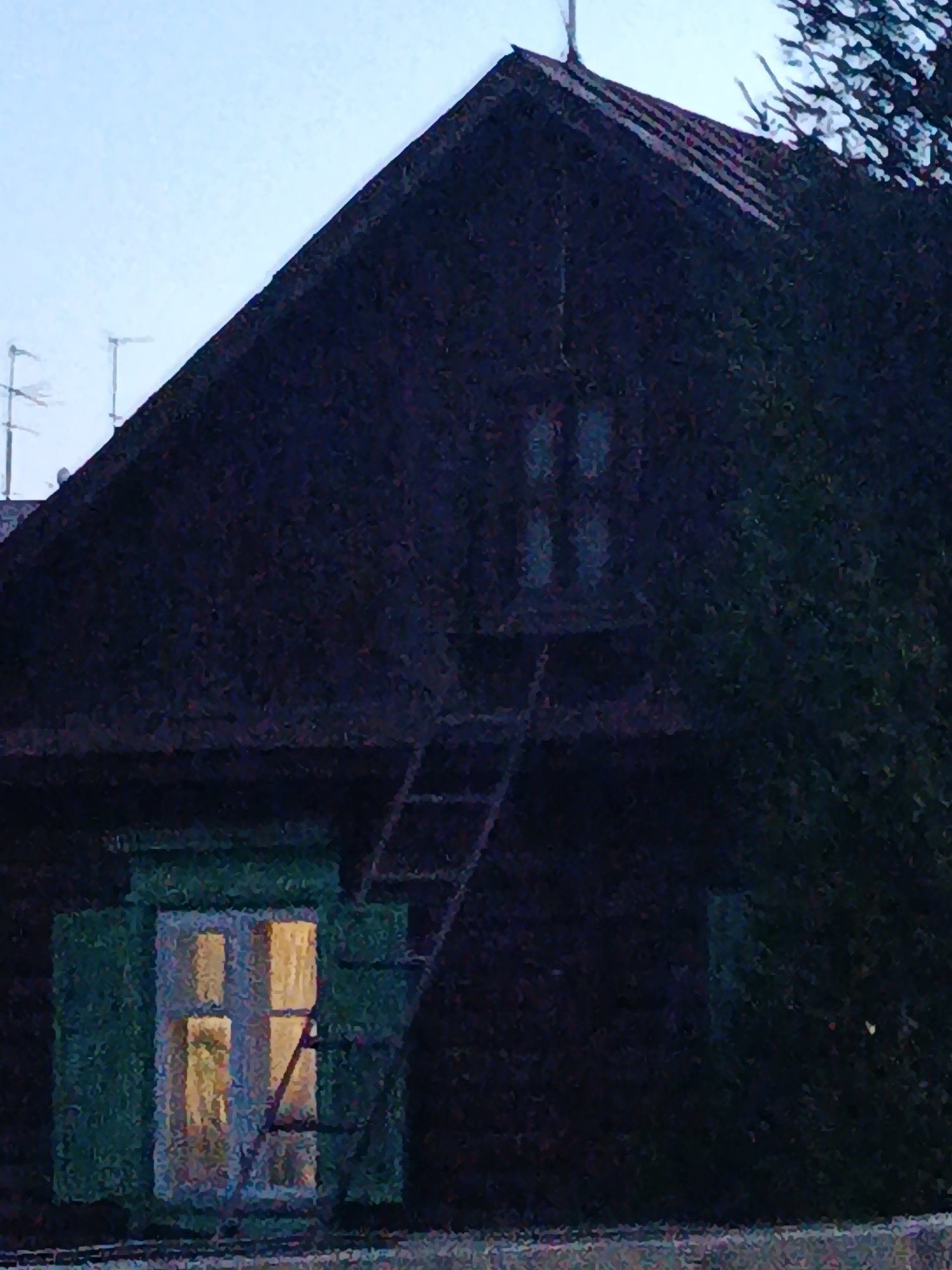 The image shows a dark, wooden building with a sloped roof against a light blue sky. There are two windows visible on the building. The lower window is illuminated from within and has green shutters. A dark, retractable ladder leans against the building, extending from near the lower window towards the roof. The upper part of the building has a smaller window with four panes. The overall scene suggests an outdoor setting, possibly in a rural or semi-urban area. The context of Verea, Russia, implies a location within that specific city.