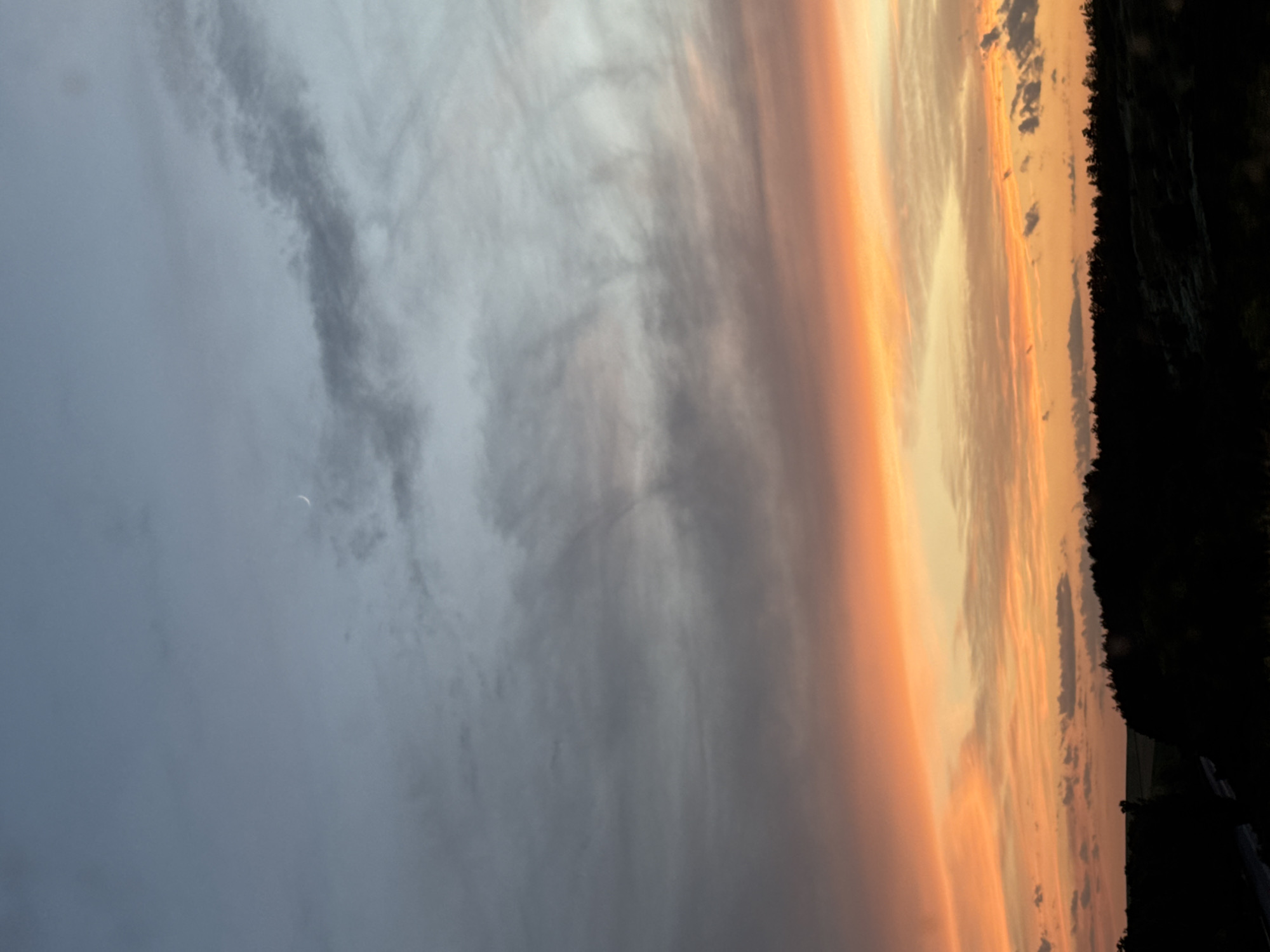 The image displays a serene sunset over the Tervel region of Bulgaria. The sky is painted with a gradient of colors, transitioning from a pale blue at the top to vibrant oranges and yellows closer to the horizon. Wispy clouds drift across the sky, with a faint crescent moon visible in the upper portion. Below the colorful sky, a dark silhouette of trees forms a dense line across the landscape. The foreground is dominated by this dark treeline, obscuring most of the ground detail, but hints of rolling hills and fields can be discerned beneath the trees. The overall impression is one of natural beauty and tranquility at the close of day.