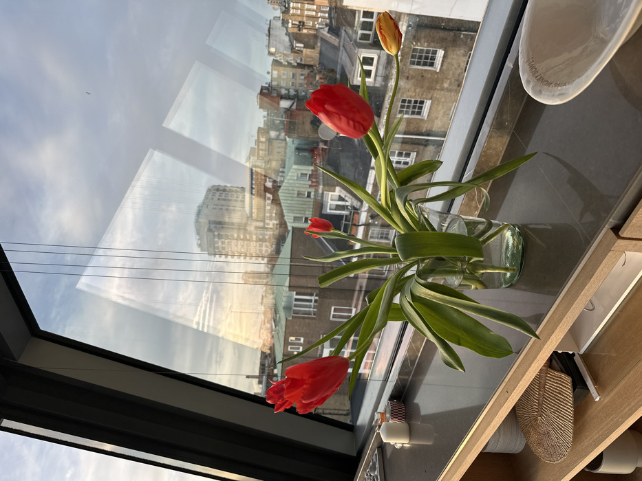 A glass vase of red and yellow tulips sits on a dark countertop, reflecting the city skyline through a multi-pane window. Buildings and rooftops are visible in the background and reflected in the glass, alongside a sky with soft light. The countertop holds a white bowl and various decorative items. The window is framed by a dark border.