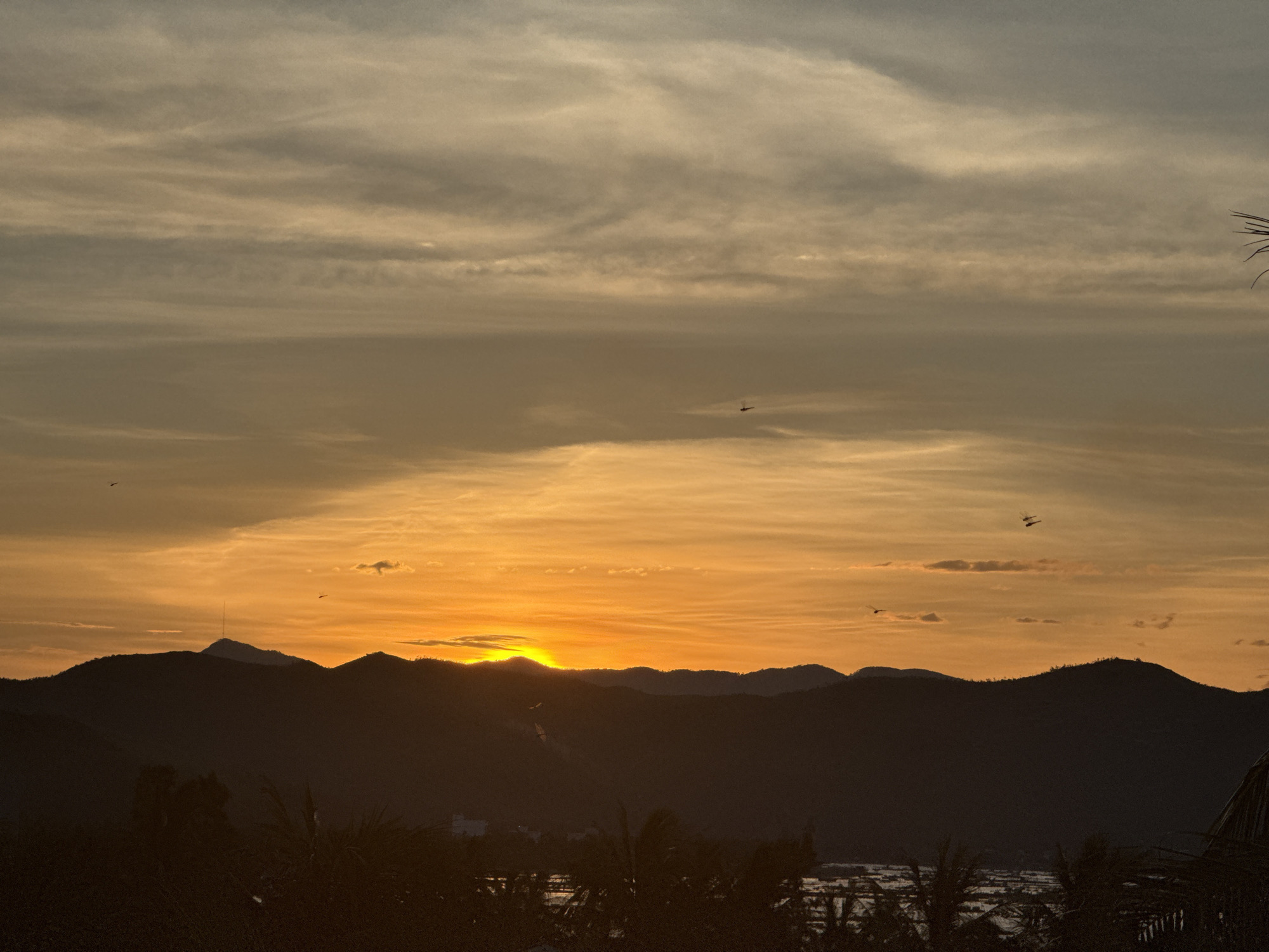 A silhouetted mountain range frames a vibrant sunset over the city of Song Cau, Vietnam. The sky transitions from a pale gold near the horizon, where the sun is partially obscured by the mountains, to a soft orange, then to a muted gray with streaks of darker clouds at the top of the frame. Several small, dark shapes, likely birds, are visible in flight against the illuminated sky. In the foreground, the dark silhouettes of trees and vegetation are present. The scene conveys a sense of natural beauty and tranquility at dusk.