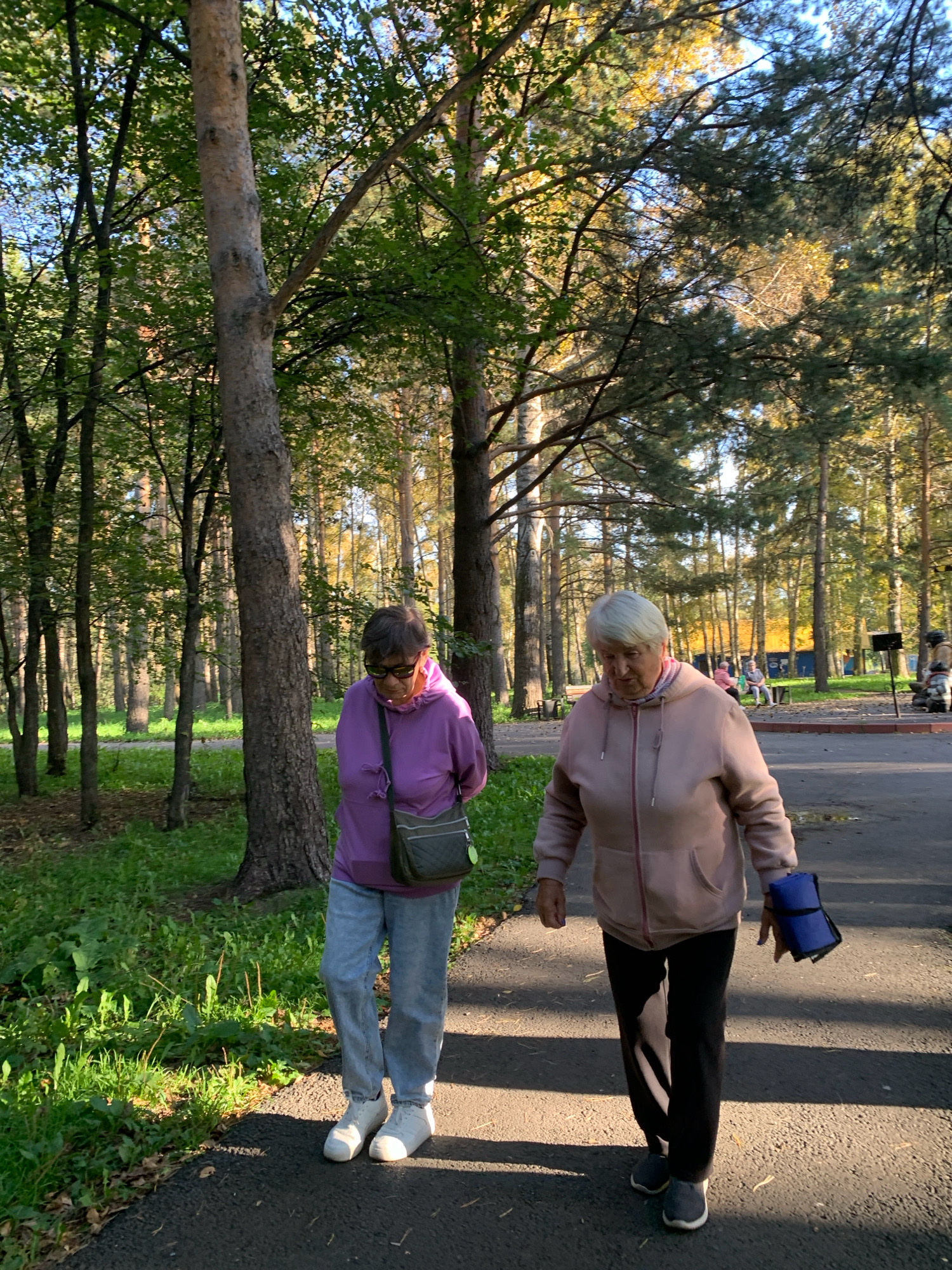 Two elderly women walk on a paved path in a park. The woman on the left wears a purple hooded sweatshirt, light blue jeans, and white sneakers. She carries a dark green crossbody bag. The woman on the right wears a light pink hooded sweatshirt, black pants, and grey sneakers. She carries a rolled-up blue object in her right hand. Both women appear to be walking towards the viewer. The park has tall trees with green and yellow leaves, indicating it is likely autumn. In the background, other people are visible sitting on benches and walking. The scene is lit by sunlight, casting shadows on the path. The location is Prokopyevsk, Russia.