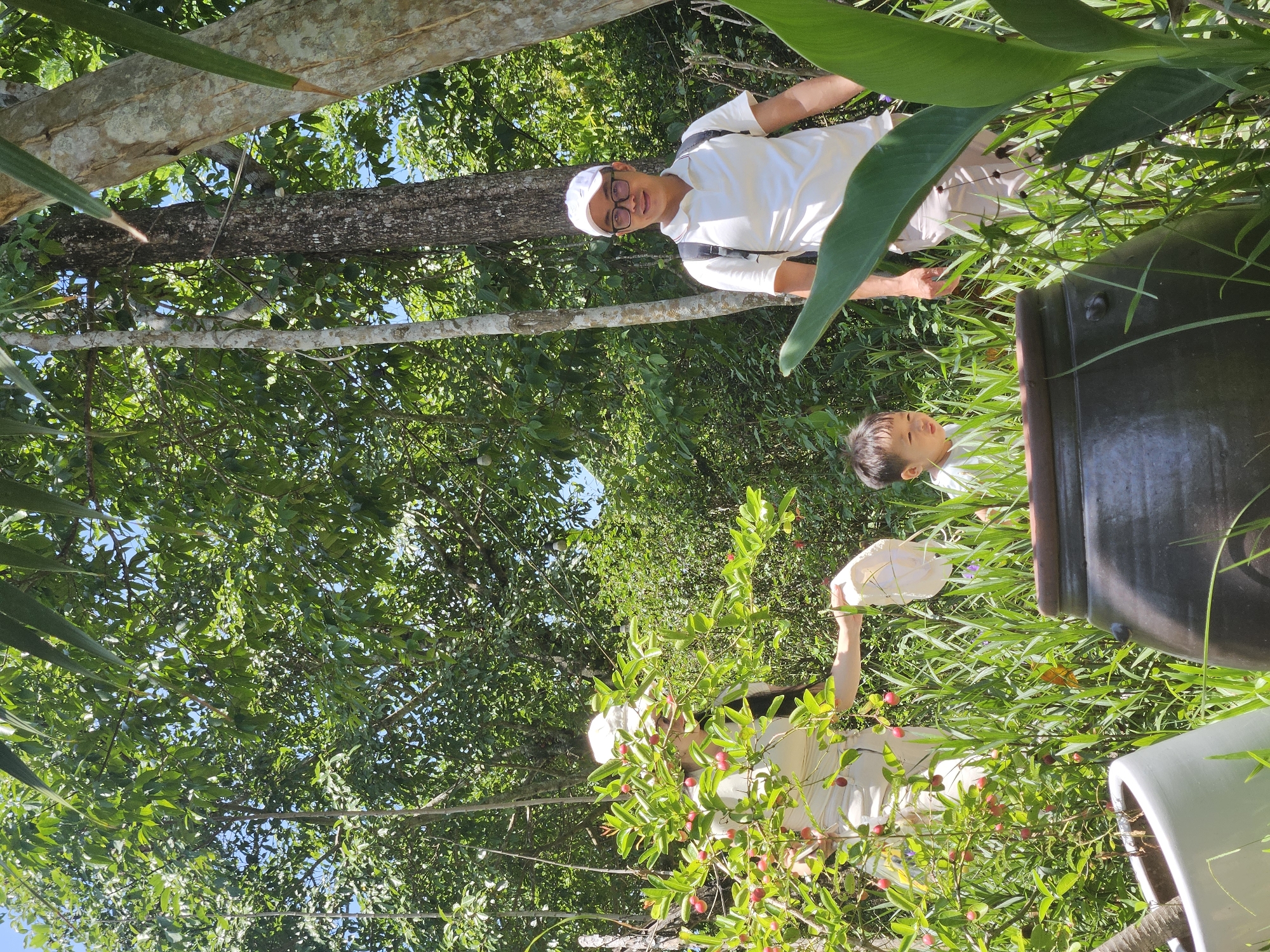 In a lush, green outdoor setting, likely in the city of Da Nang, Vietnam, a family is enjoying a day surrounded by nature. A man, wearing a white polo shirt, white cap, and glasses, stands with a backpack, smiling at the camera. Beside him, a woman in a white outfit and cap is reaching towards a bush laden with small, red fruits. A young boy, wearing a white shirt, peeks out from behind tall green grass, looking towards the left of the frame. In the foreground, a large, dark ceramic pot and a white planter add a rustic touch to the scene. The background is filled with dense foliage and trees, indicating a park or a garden environment. The lighting suggests it is a bright, sunny day.