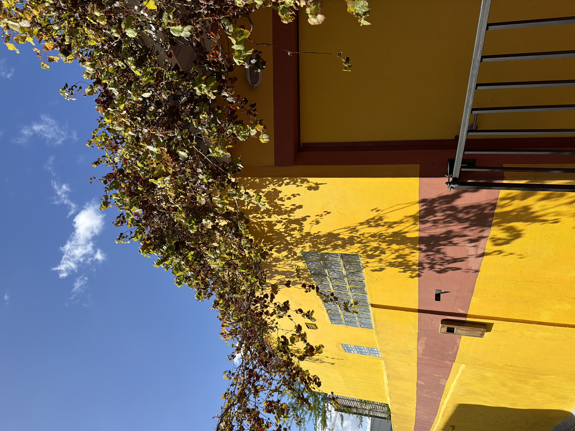The image shows a section of a yellow-painted building with brown accents under a clear blue sky. A vine with leaves in various shades of green and brown grows along the top edge of the building, casting shadows on the wall. A metal fire escape ladder is attached to the building's right side. A set of glass block windows is visible on the wall. There's a distinct brown stripe painted on the building, running vertically. Two small boxes or fixtures are also mounted on the building. The location is potentially the city of Cape Town, South Africa, though there are no elements of the image that definitively confirms this.