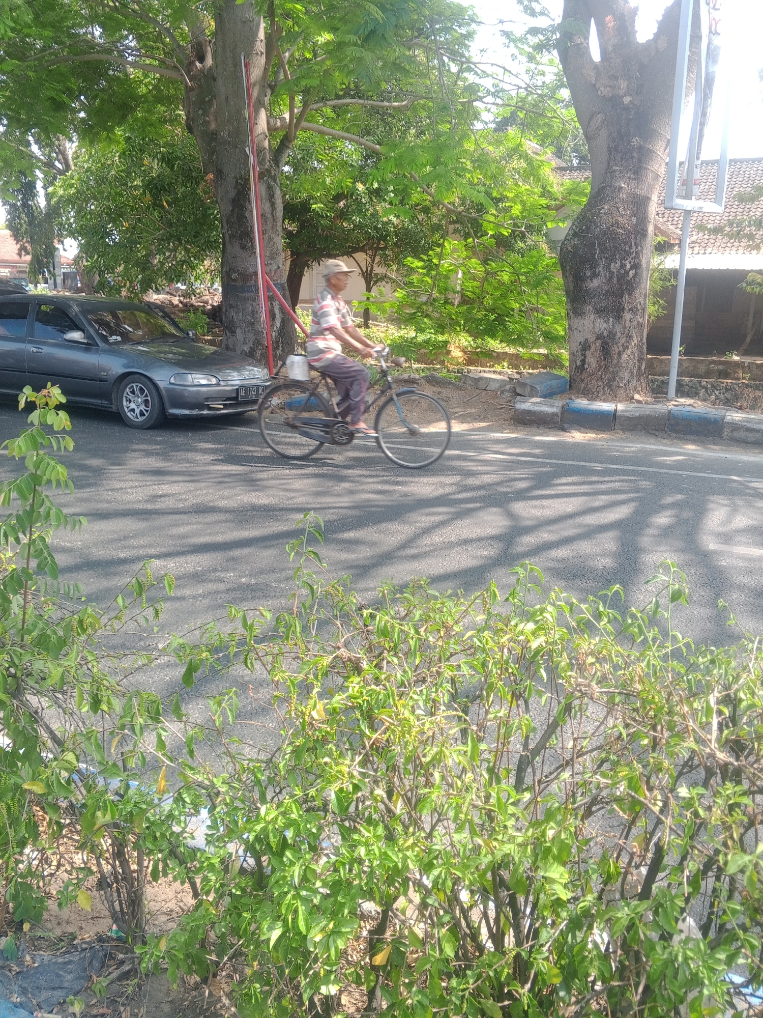 In Tonatan, Indonesia, on a paved road, an elderly man wearing a checkered shirt and a cap is cycling. He is positioned in the center of the frame, on the right side of a gray sedan. The car is parked on the left side of the road. Behind the man and the car, large trees with lush green foliage cast shadows on the asphalt. The environment appears to be outdoors during daylight. The road has a slight incline, and the surrounding area is characterized by greenery and what appear to be residential structures in the background. The foliage in the foreground is dense and obscures the lower portion of the scene.
