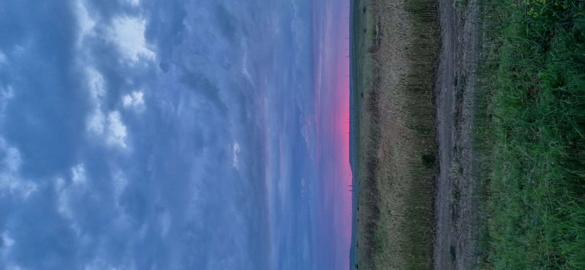 The image depicts a rural landscape at dusk. A field of golden wheat or similar grain occupies the middle ground, transitioning to green grass in the foreground. A dirt road runs horizontally across the bottom of the frame, separating the grass from the field. In the distance, a flat horizon is visible, marked by a line of sparse trees or vegetation and a series of utility poles, some of which appear to be power transmission towers. The sky is filled with dramatic clouds, ranging in color from deep blue to hues of purple and pink, indicating the presence of a sunset. The overall impression is one of a tranquil, open, and sparsely populated rural area. The image is a vertical photograph.