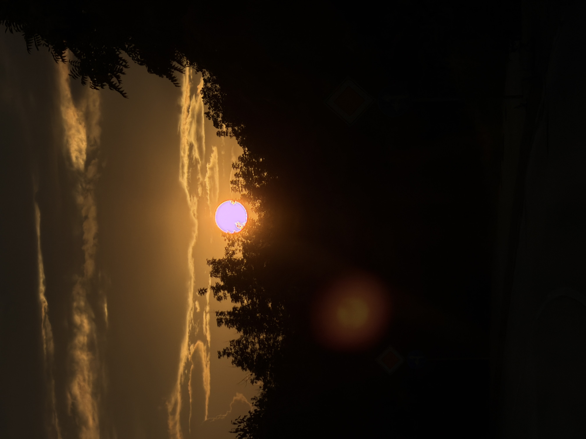 A sunset scene is depicted, with the sun, a pinkish orb, partially obscured by the silhouetted tops of trees. Wispy clouds are visible in the orange-tinged sky. In the foreground, a dark, curved surface, possibly a road or path, is present. Two diamond-shaped signs are visible, one to the left and another to the right, partially obscured by darkness and trees. A lens flare, appearing as a reddish-orange circle, is positioned to the left of the frame, over the silhouetted trees. The overall impression is one of a natural landscape at dusk, with man-made elements such as road signs present. No people are visible in the image.