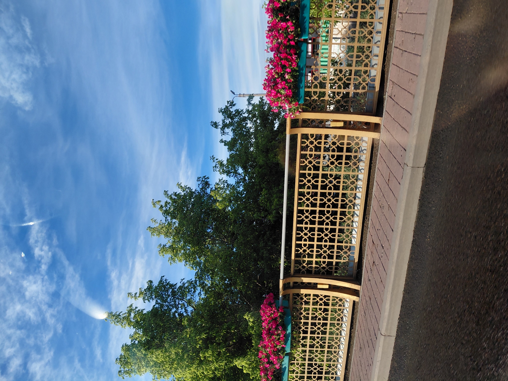 The image captures a scene from the city of Qarağandı, Kazakhstan, likely near the city administration. In the foreground, a dark asphalt road meets a sidewalk paved with red bricks and a concrete curb. A decorative golden fence with an intricate geometric pattern runs along the sidewalk, separating it from a green space behind. This fence is adorned with planters filled with vibrant pink flowers, adding a splash of color to the scene. Beyond the fence, lush green trees form a dense backdrop, their leaves catching the sunlight. The sky above is a brilliant blue, punctuated by wispy white clouds and a striking sunbeam effect emanating from behind one of the trees, creating a dramatic illumination. A distant lamppost is visible among the trees. The overall impression is one of an urban park or a well-maintained public space on a clear day.