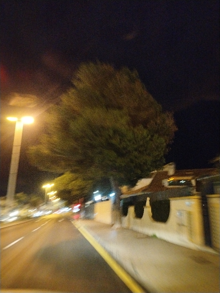 A nighttime scene shows a road with streetlights illuminating the way. A large tree stands to the right of the road, partially obscuring a building with a tiled roof. The building has a light-colored wall with dark green hedges and a fence. The overall image appears blurry, suggesting motion or a long exposure. The sky is dark, and there are few visible details.