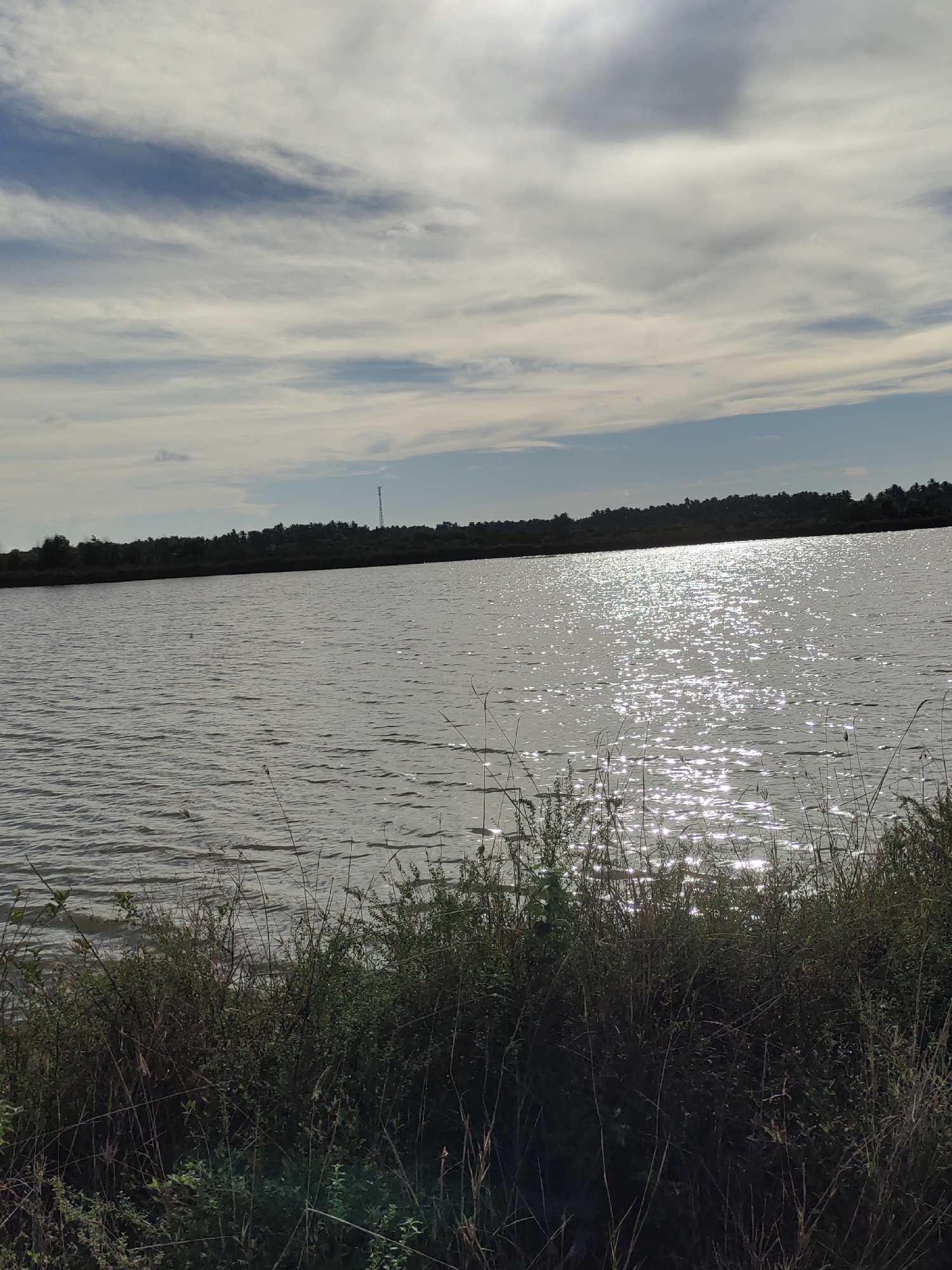 The image depicts a body of water, likely a lake or reservoir, with a dense line of trees forming the background horizon. The water surface is rippled and reflects the sunlight, creating a shimmering effect. In the foreground, there is a thick growth of vegetation, including bushes and tall grasses. The sky above is partly cloudy, with some areas of blue sky visible between the clouds. The overall scene suggests a natural, outdoor environment. There are no people or animals visible in the image. The location is identified as Uleematang, Indonesia.