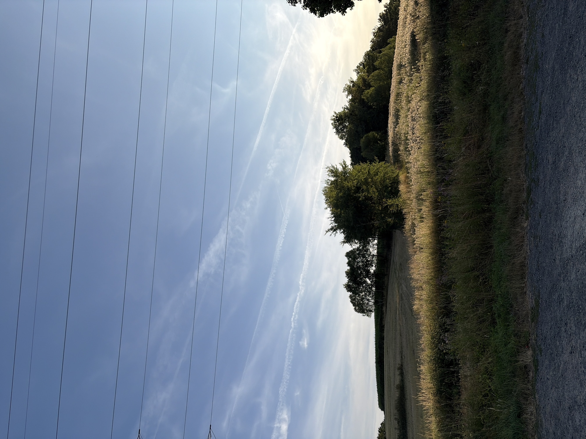 The image captures a landscape scene under a clear blue sky with several power lines stretching horizontally across the upper portion. The sky is marked with thin, wispy white clouds, some appearing as contrails. Below the sky, a rolling hill is covered in lush green trees and fields. The foreground features tall, dry grass bathed in the warm glow of sunlight, with a gravel path running along the bottom edge of the frame. In the mid-ground, there is a field of what appears to be harvested crops, possibly wheat or hay, with a dense line of trees on the crest of the hill. The overall impression is one of a rural or semi-rural environment during the golden hour, likely late afternoon or early evening. There are no people or animals visible in the frame. The location is not specified within the city of Unknown, Unknown.
